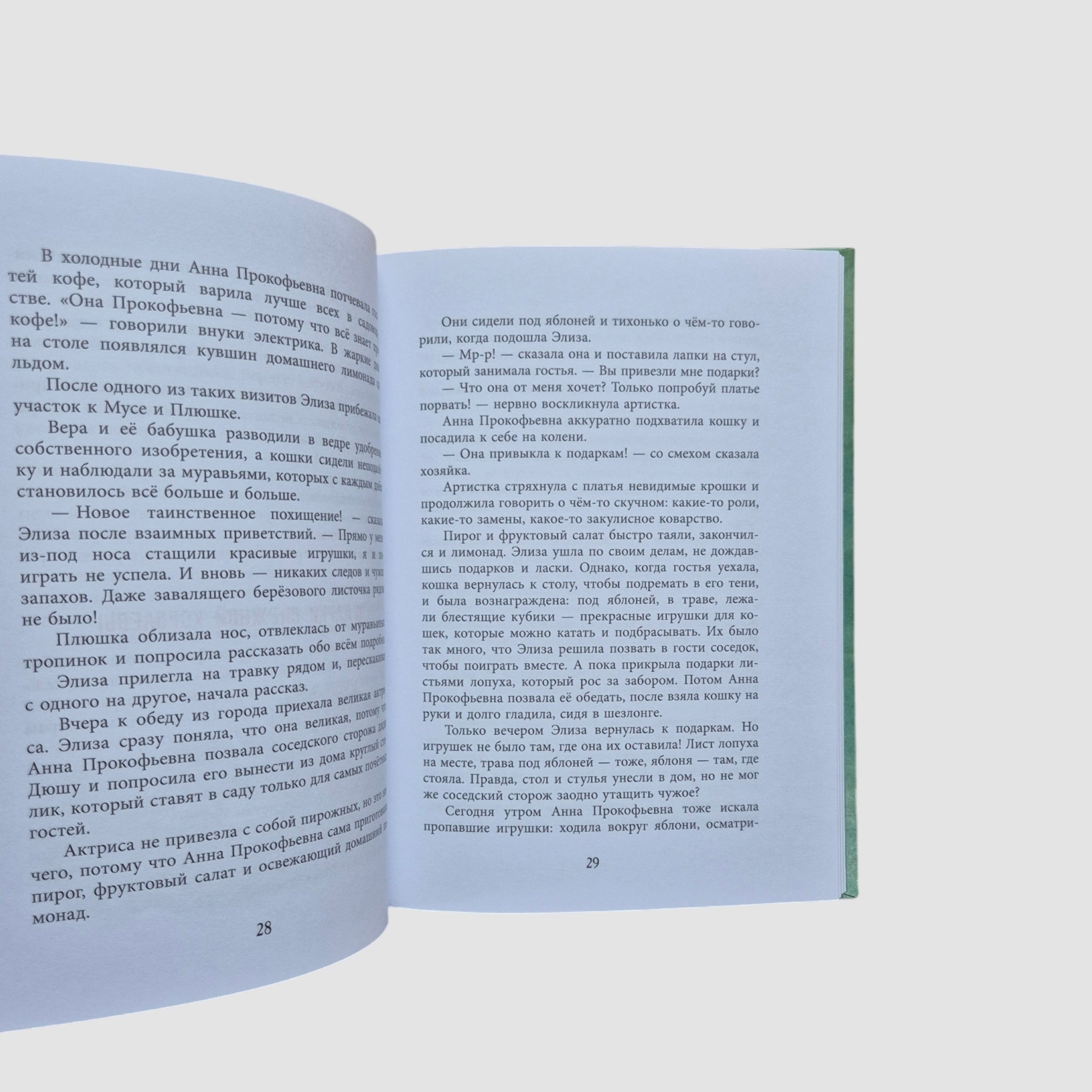 Cat Detective Agency