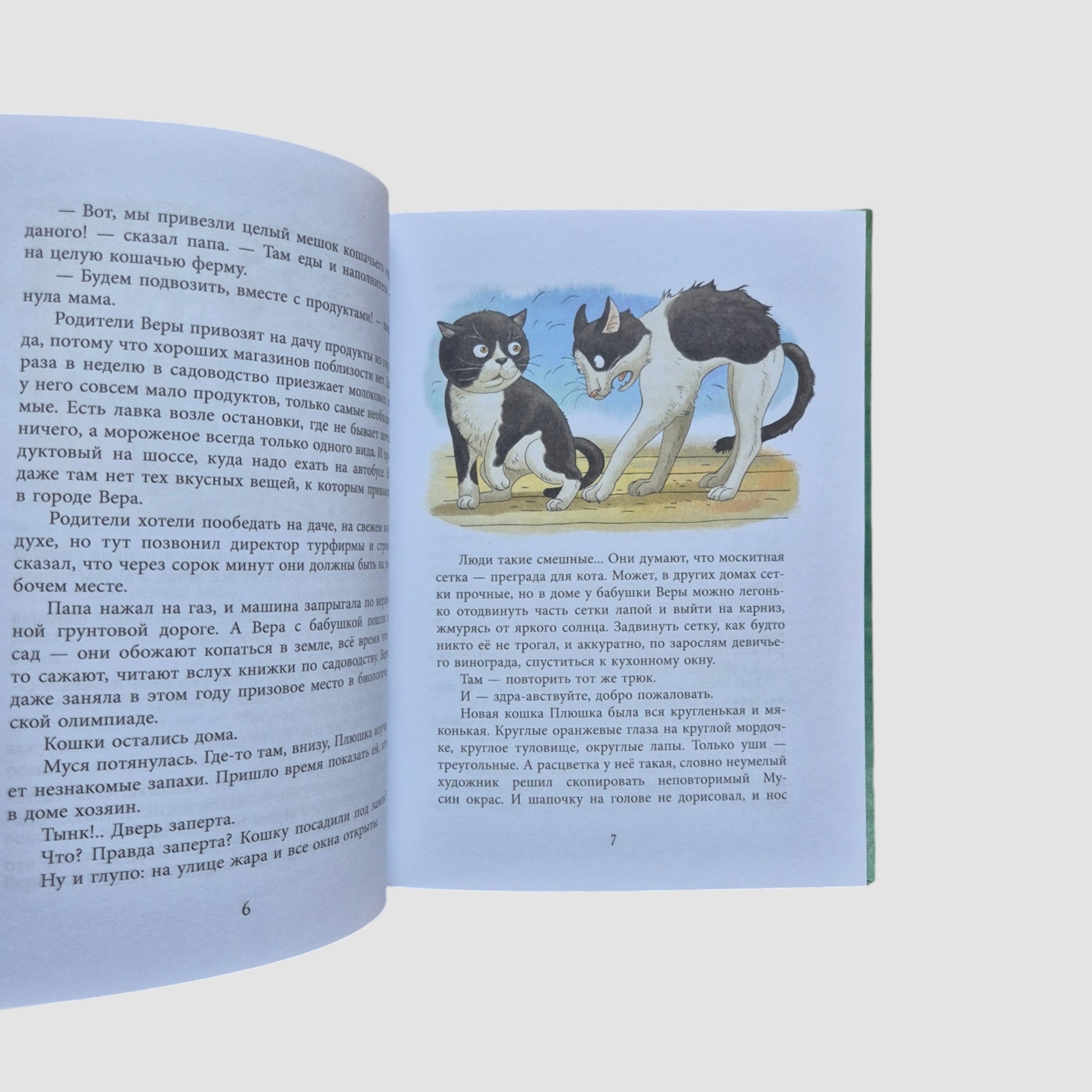 Cat Detective Agency