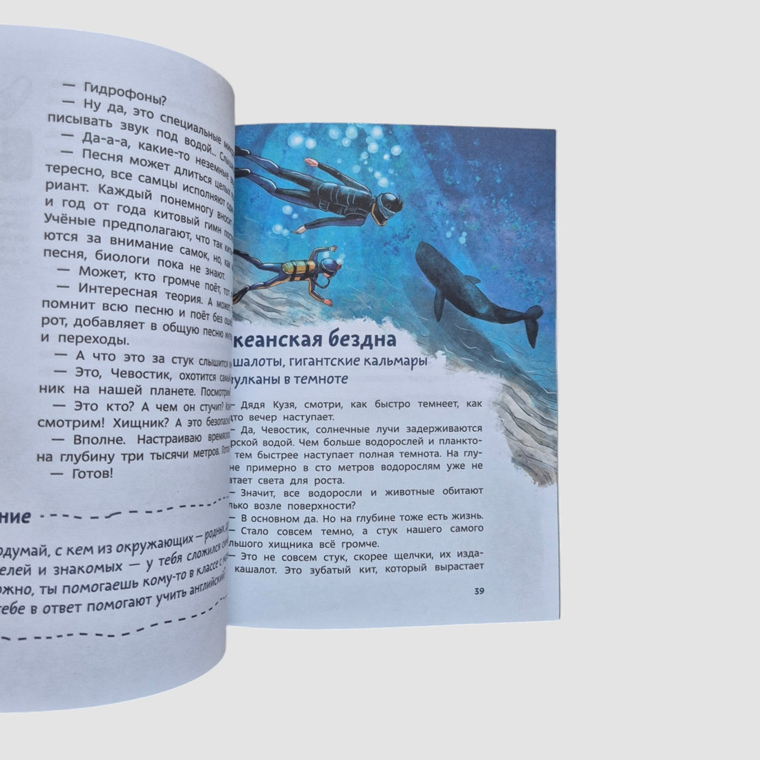 Океаны и моря. Детская энциклопедия (Чевостик) (мягкий переплет)