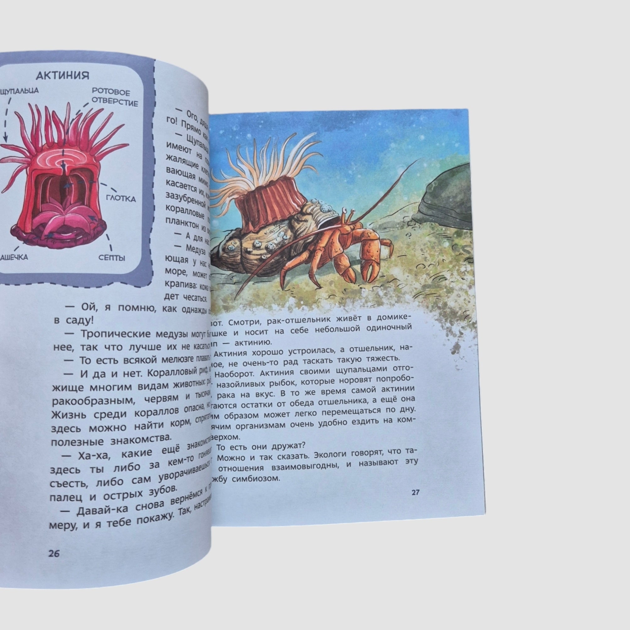 Океаны и моря. Детская энциклопедия (Чевостик) (мягкий переплет)