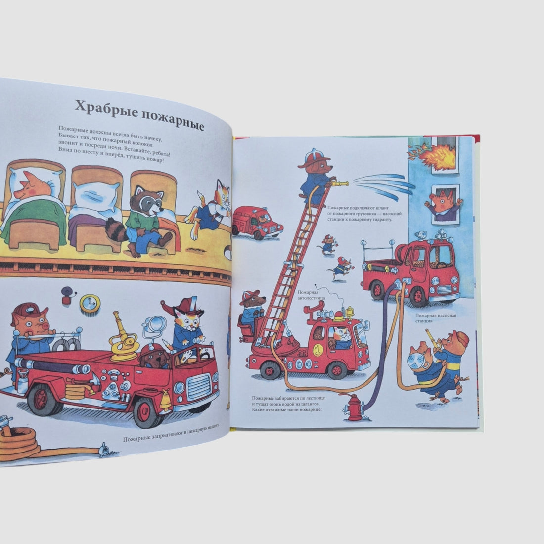 С утра до вечера в Городе Добрых Дел