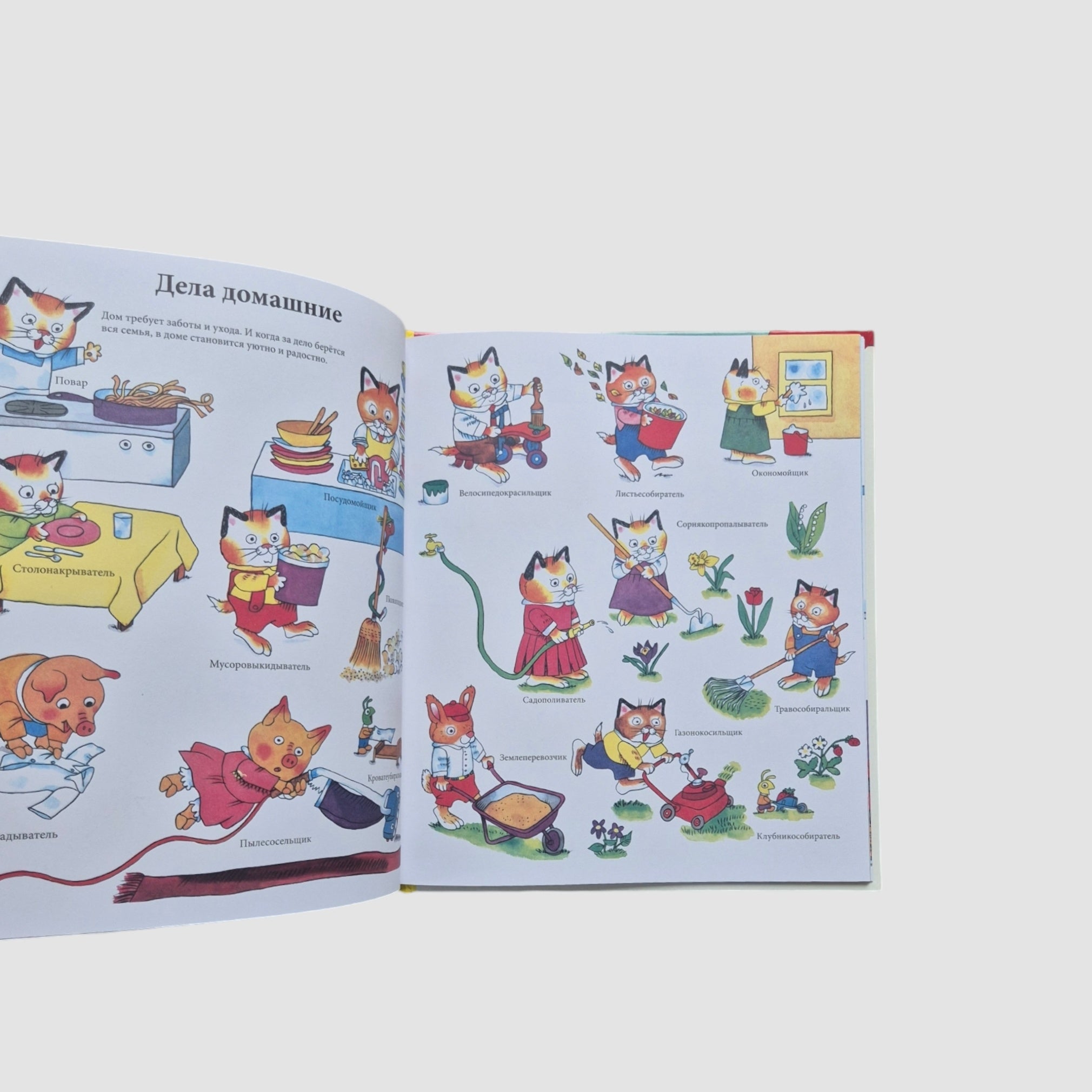 С утра до вечера в Городе Добрых Дел