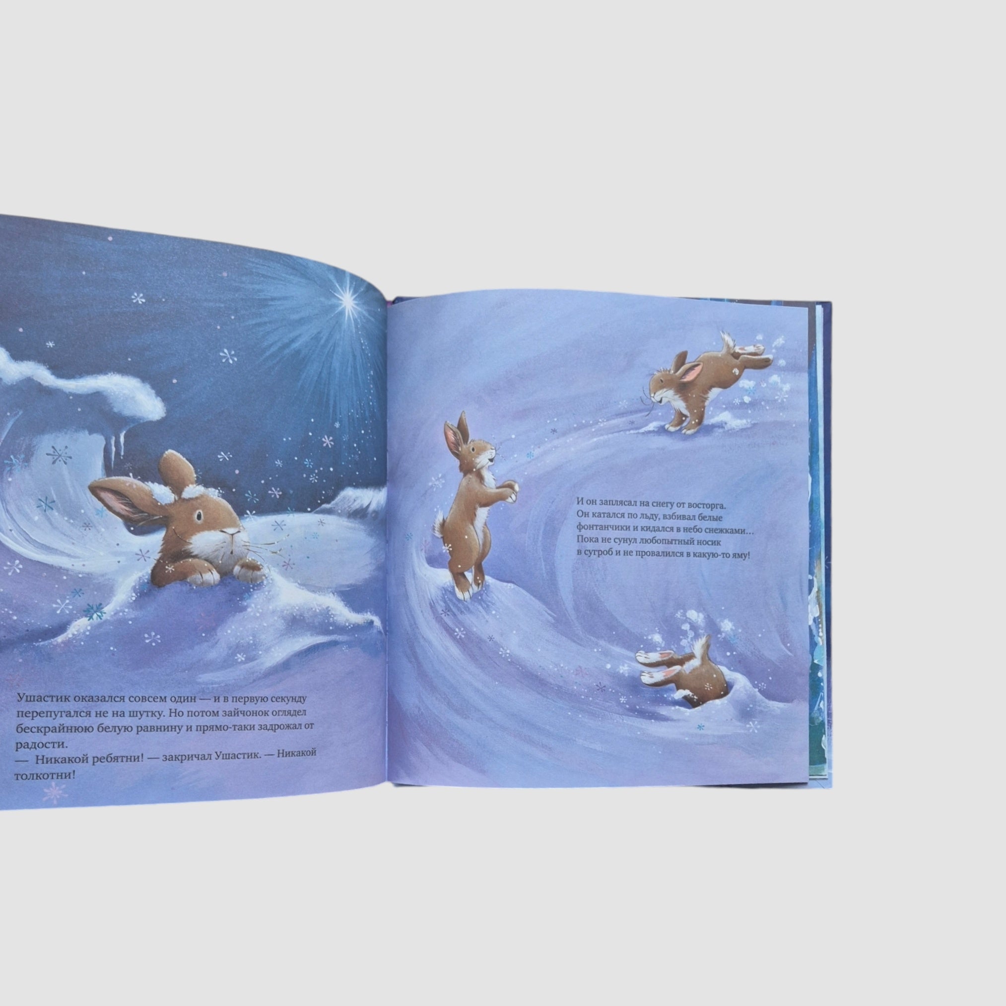 The little bunny wants to go home