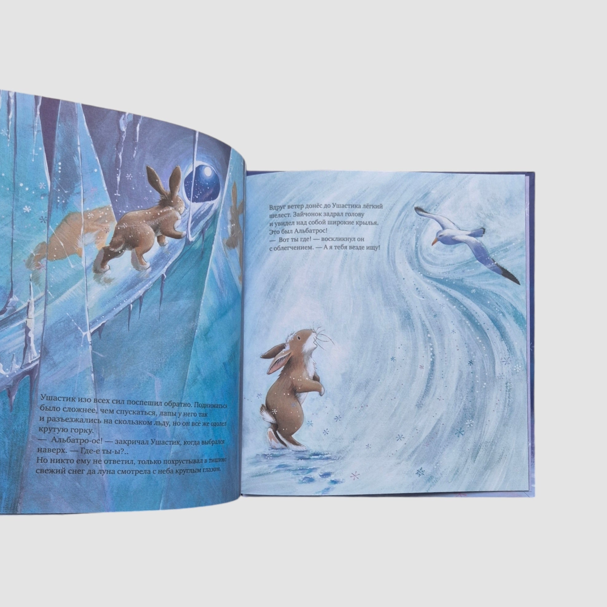 The little bunny wants to go home