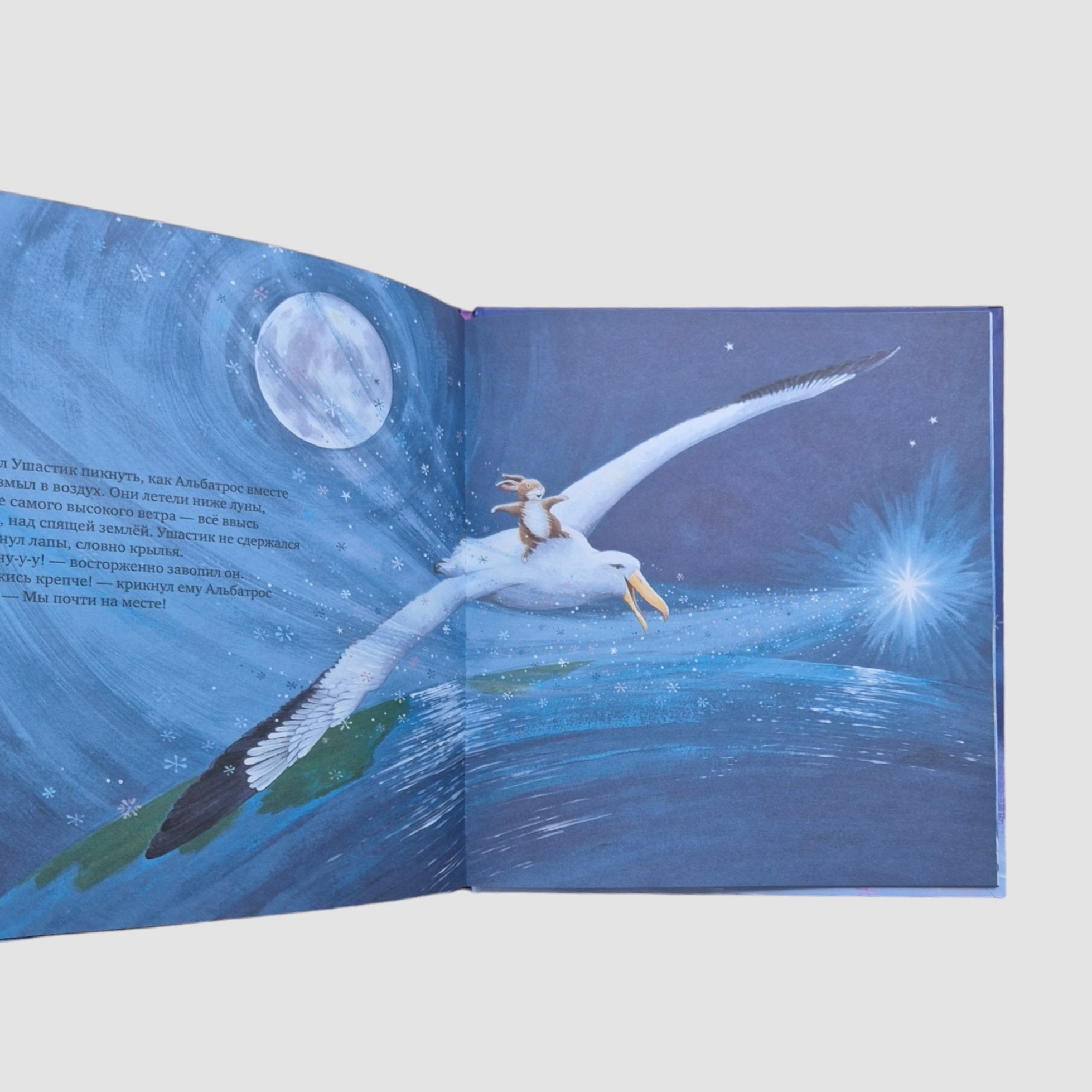 The little bunny wants to go home