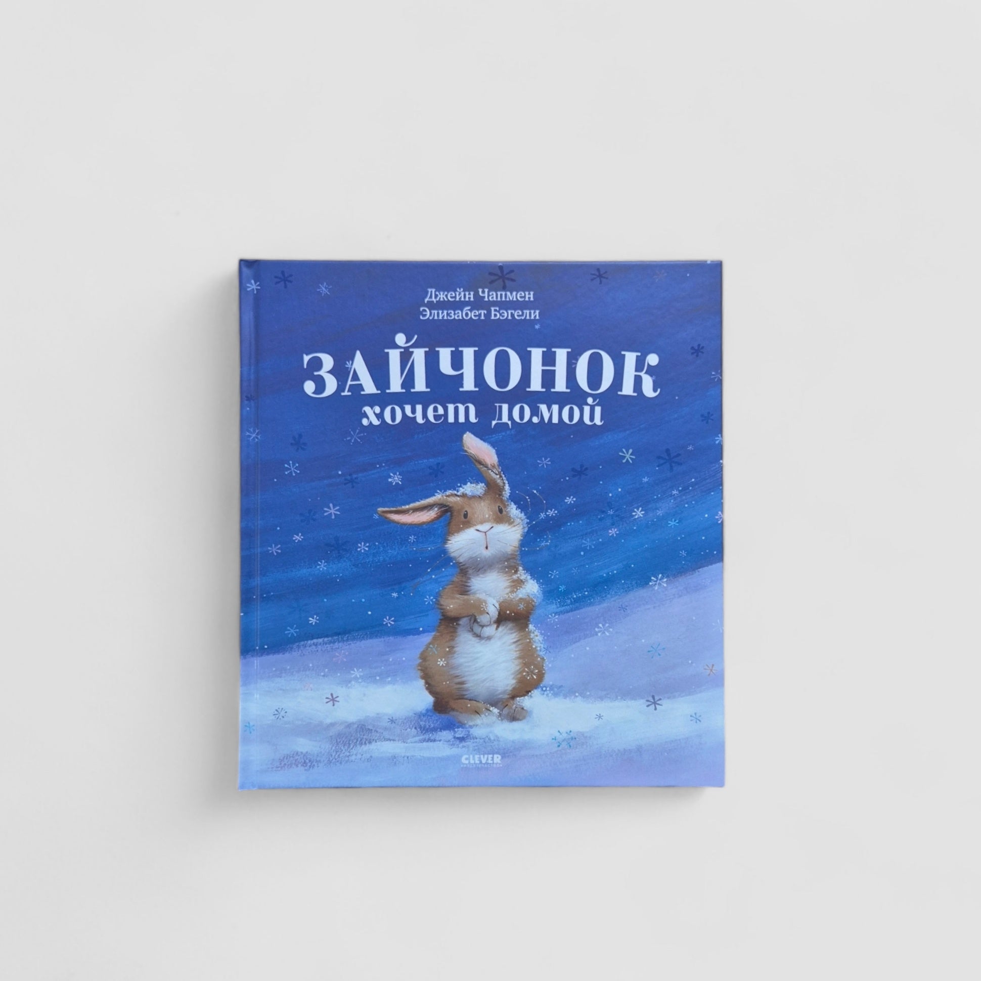 The little bunny wants to go home