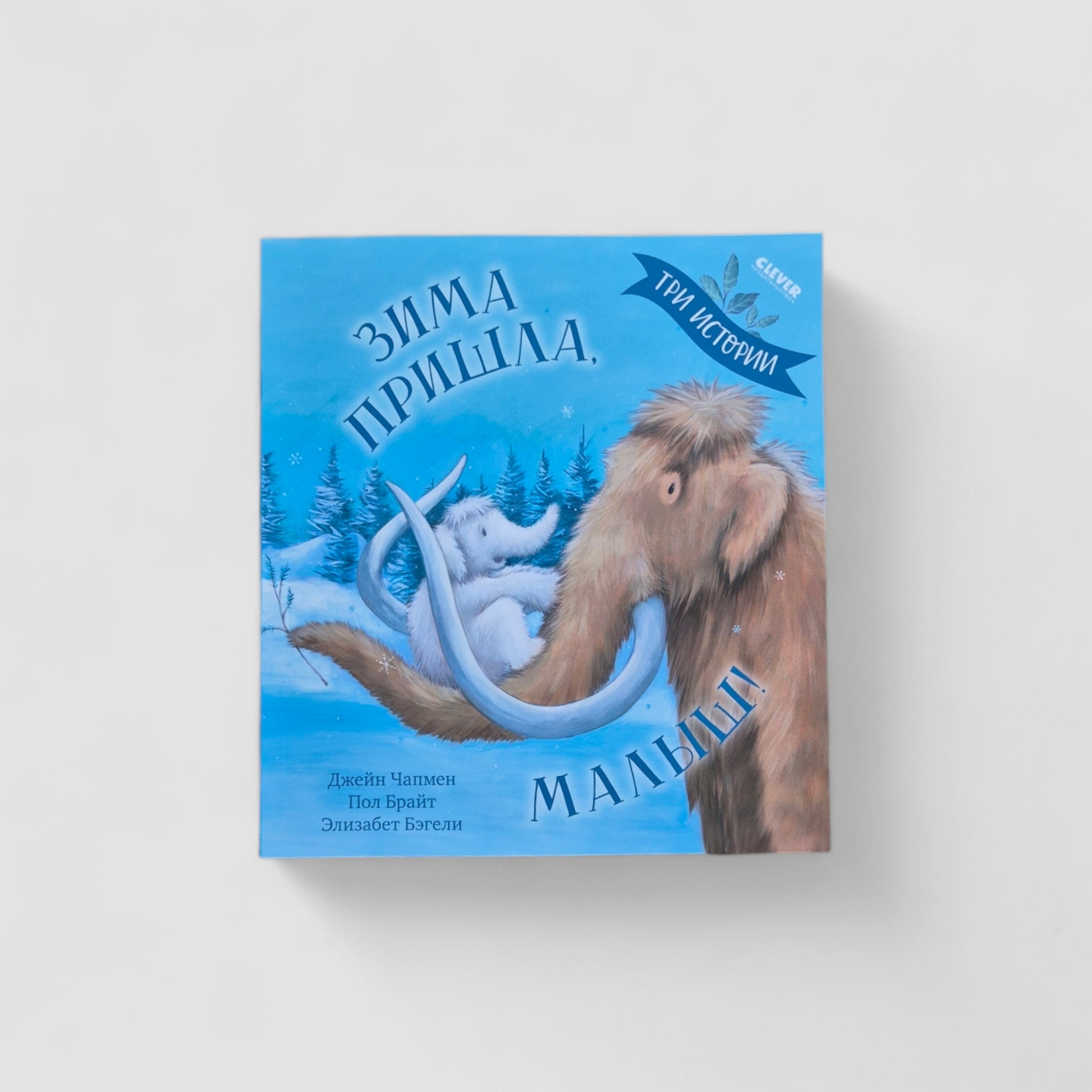 Winter is Here, Baby! Three Stories (Paperback)