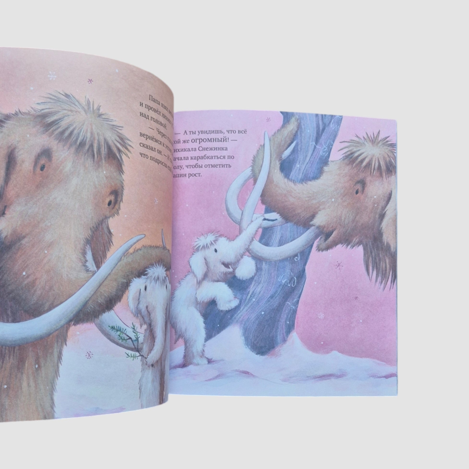 Winter is Here, Baby! Three Stories (Paperback)