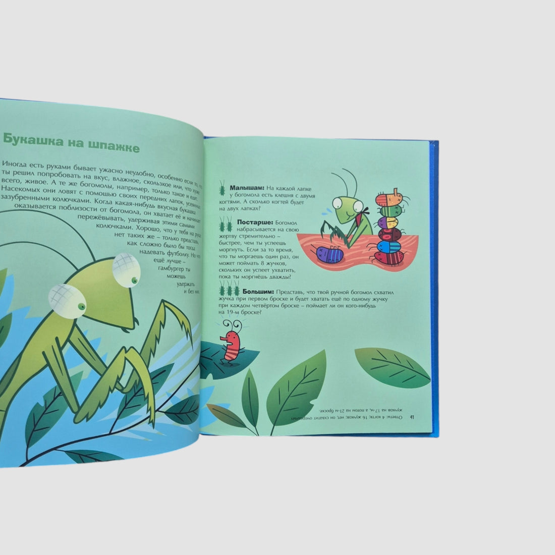 Математика перед сном