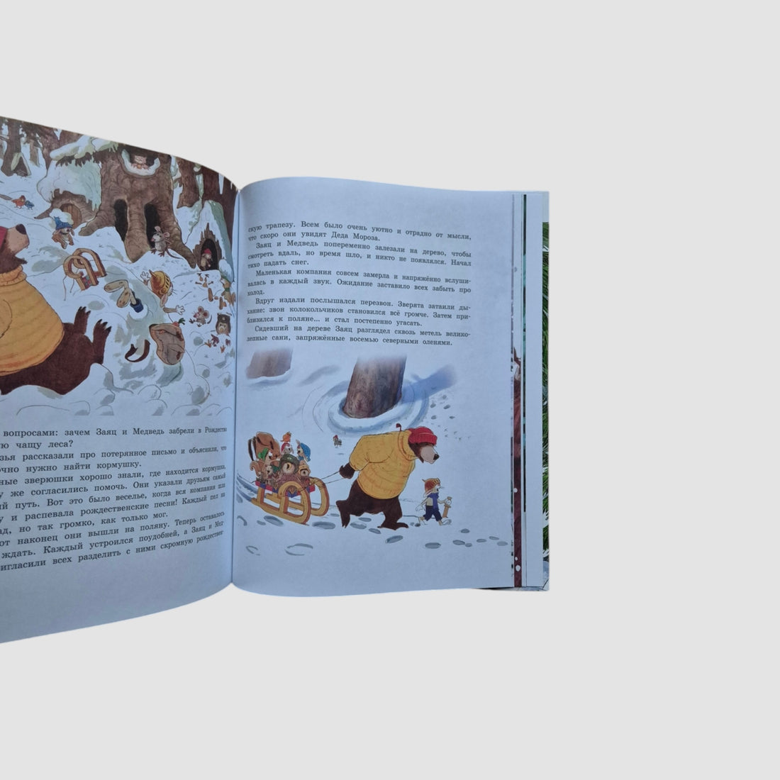 New Year's Book of the Magic Forest