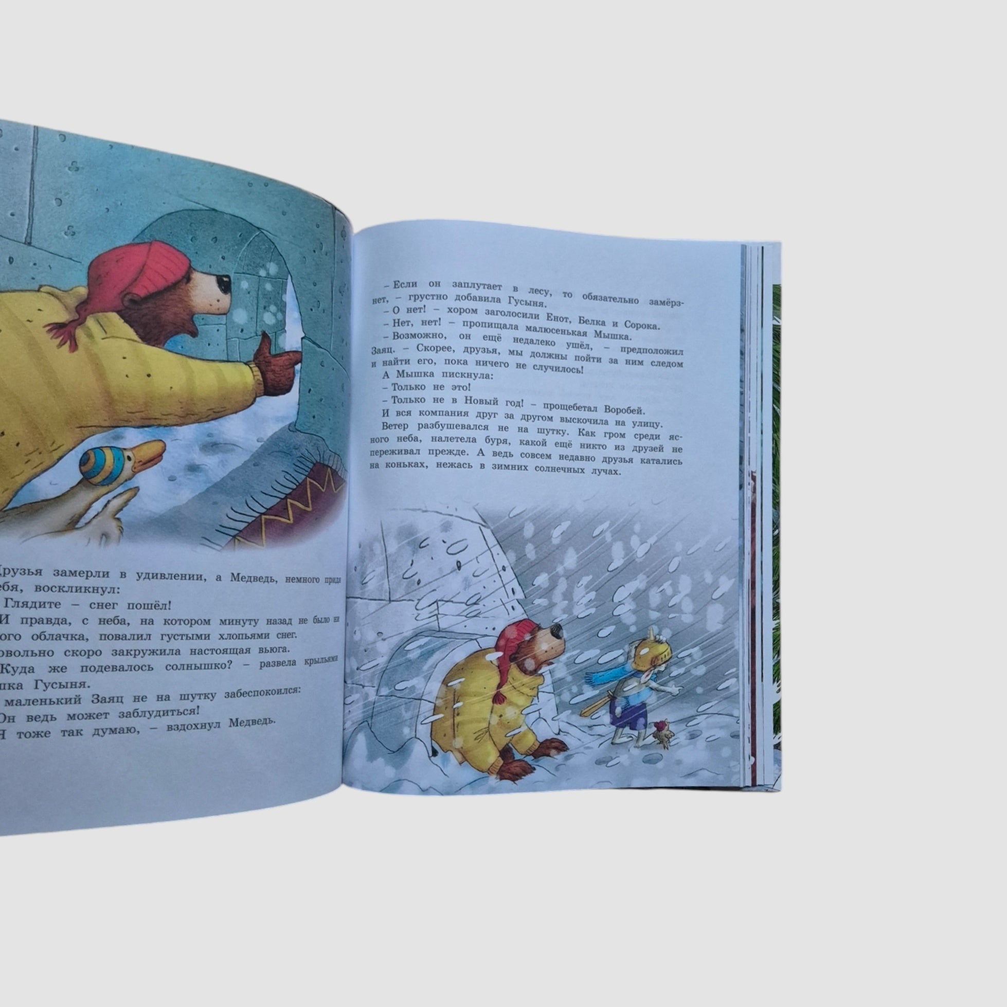 New Year's Book of the Magic Forest