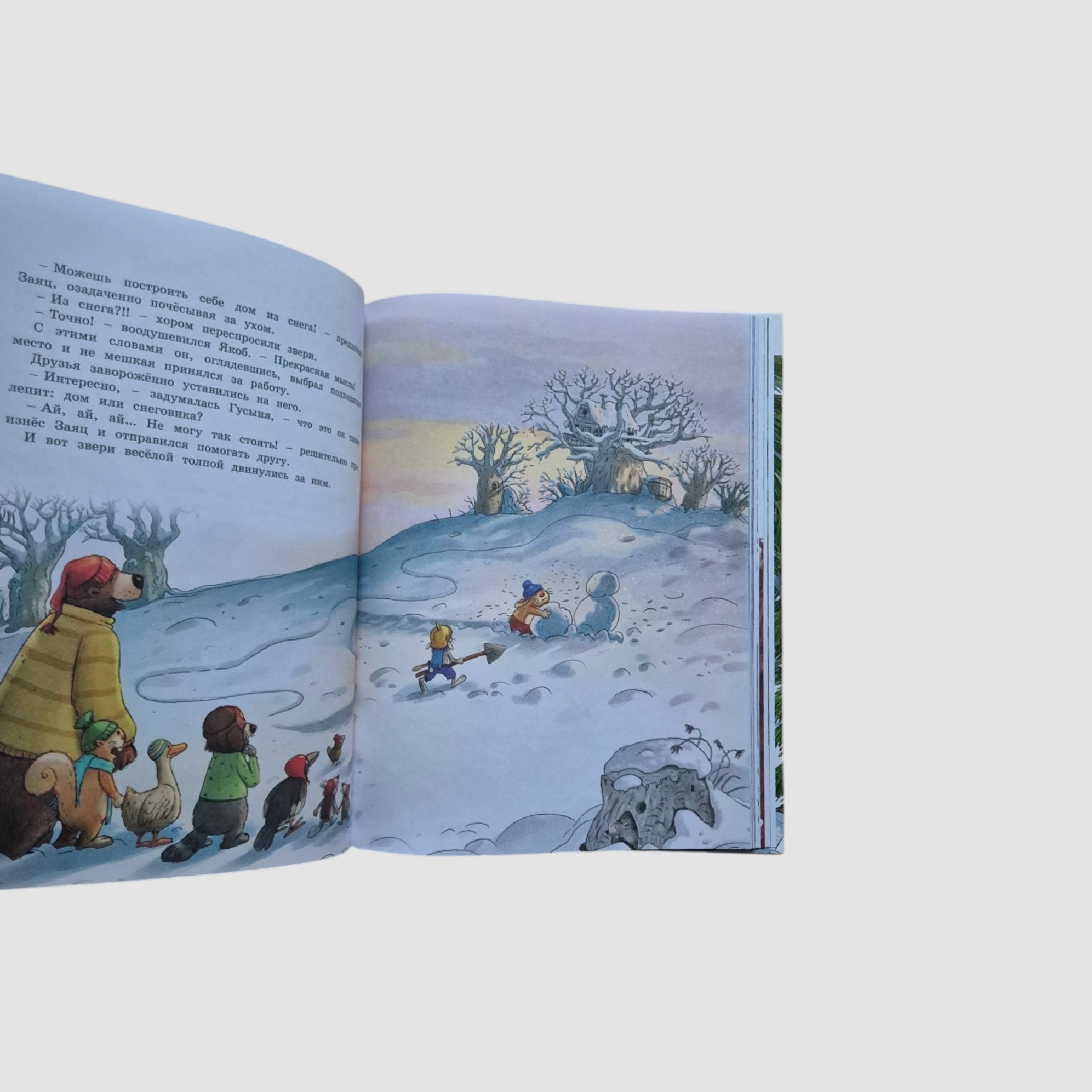 New Year's Book of the Magic Forest