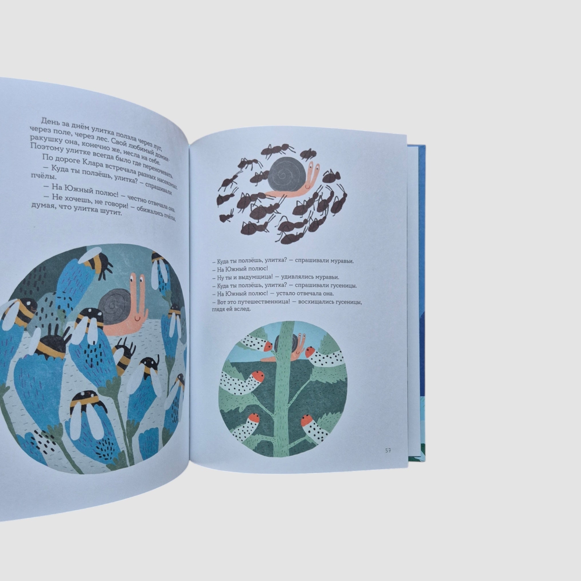 Улитка Клара