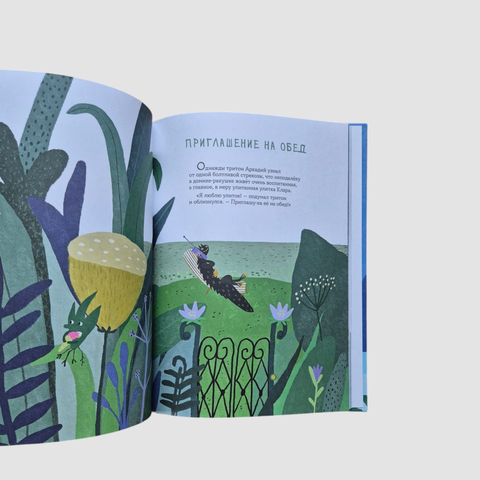 Улитка Клара