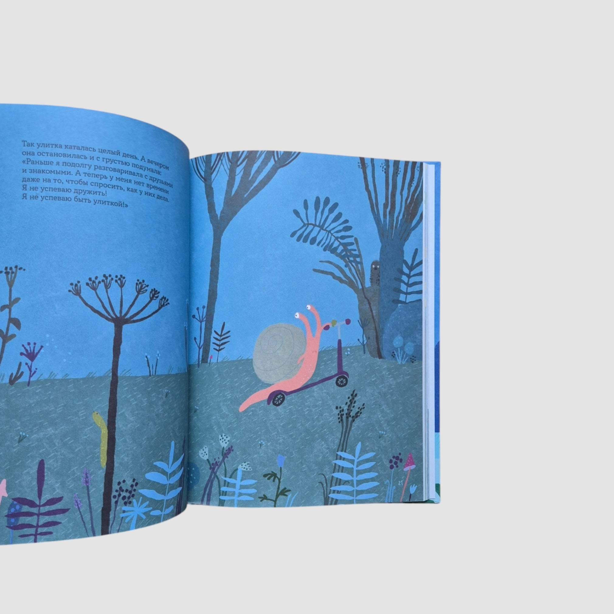 Улитка Клара