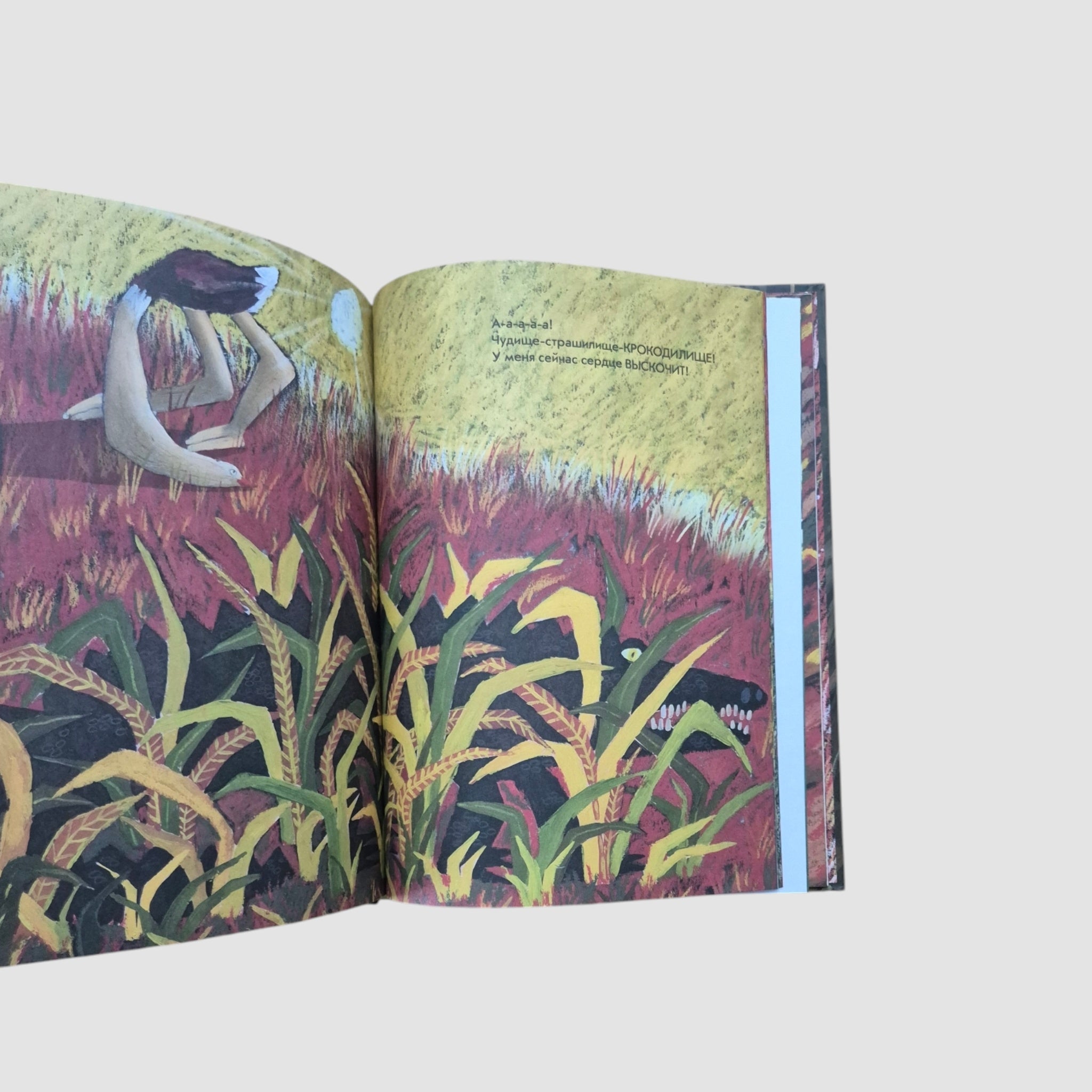 Ostrich, don't panic!