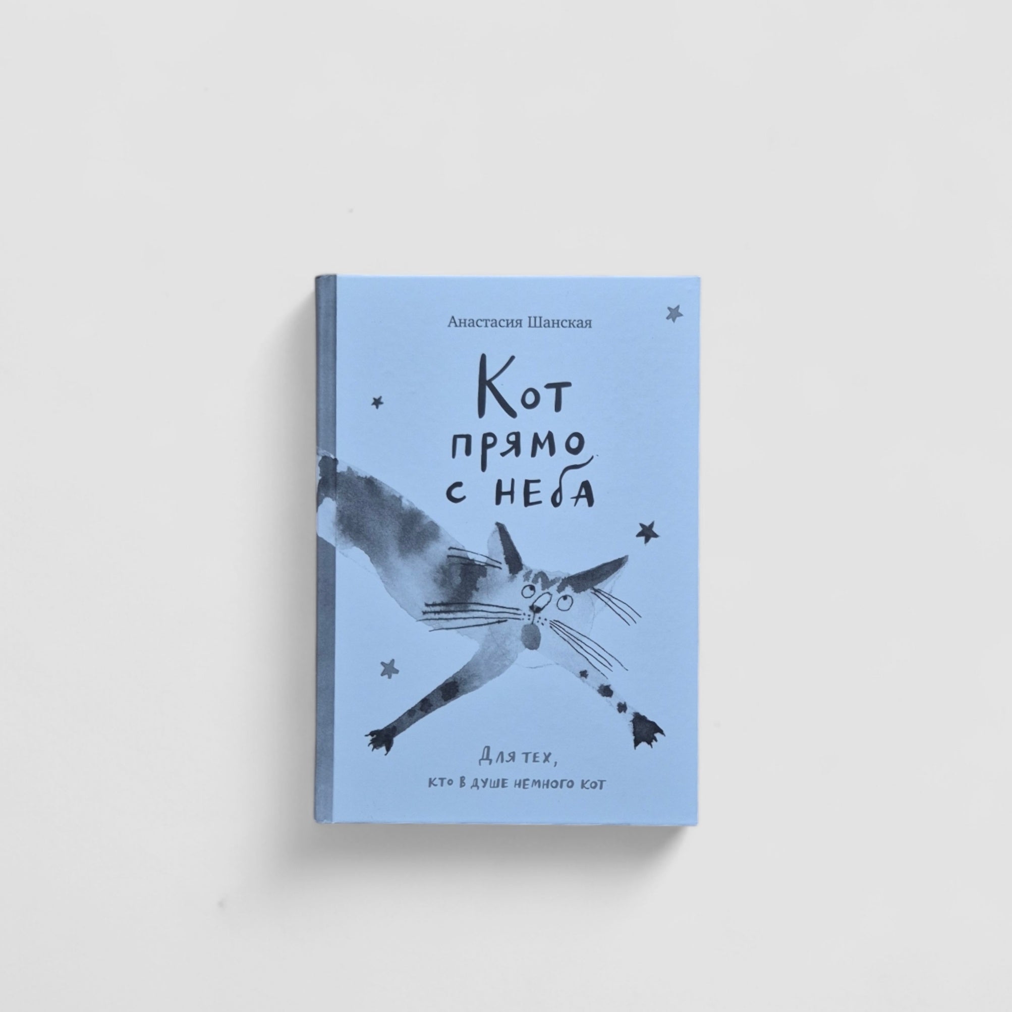 A cat straight from the sky