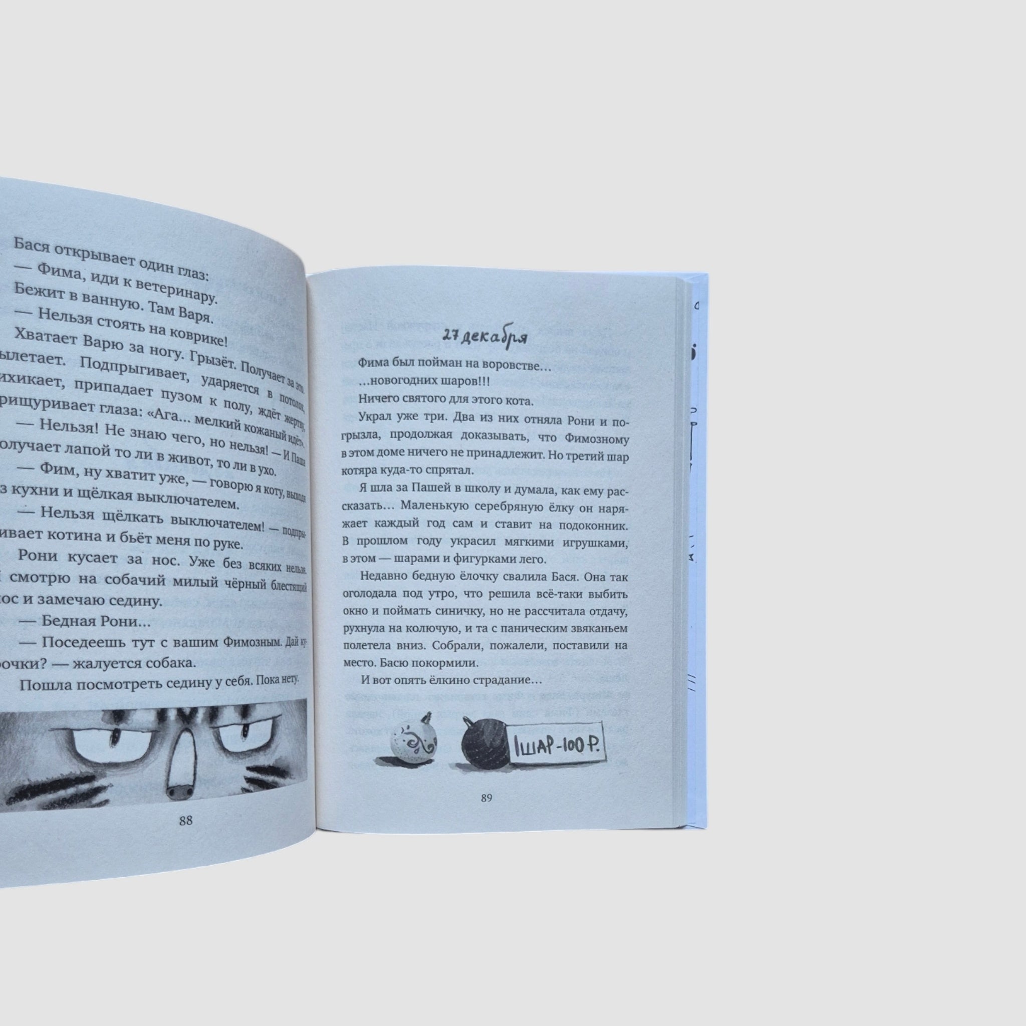 A cat straight from the sky