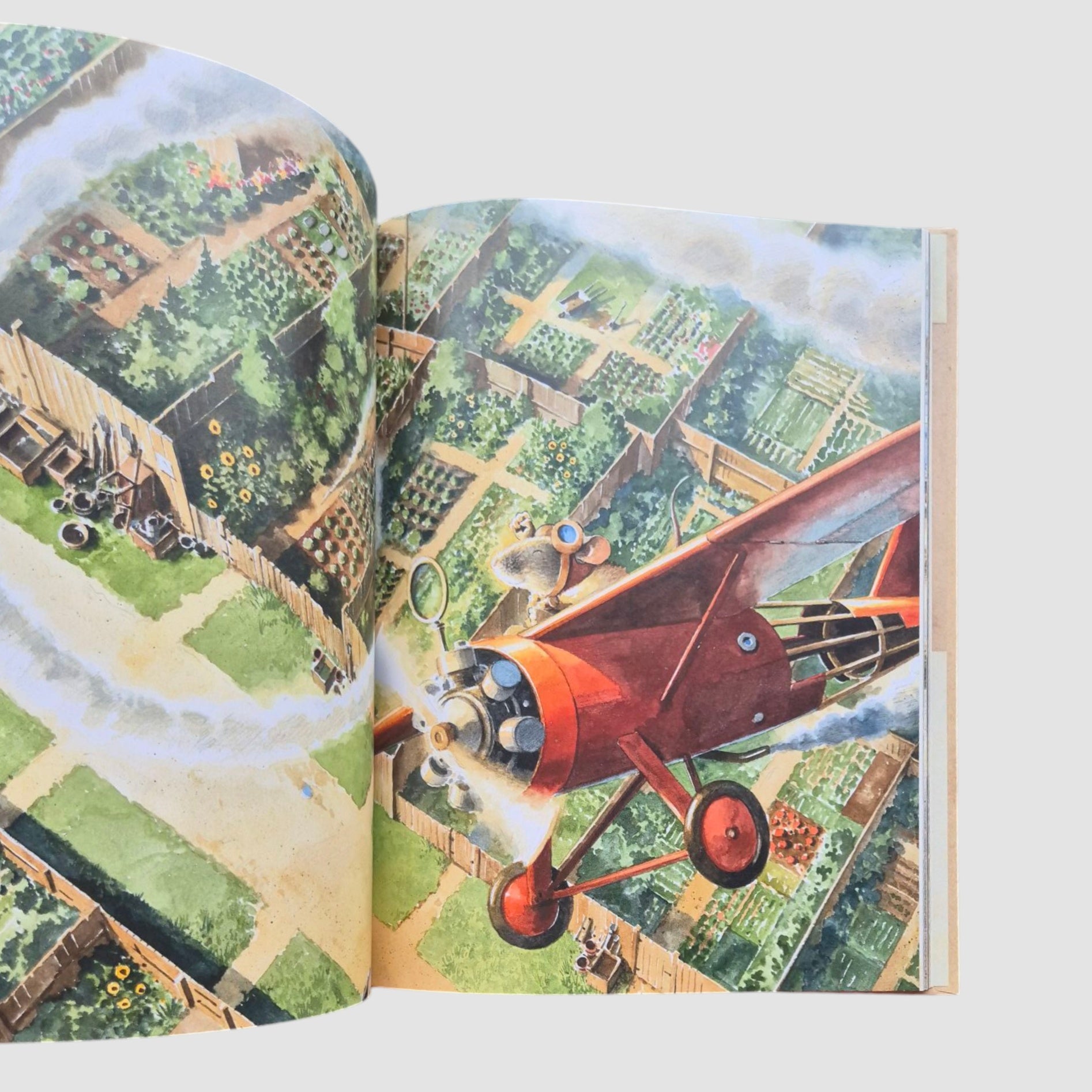 Эрхарт. Невероятный полёт полёвки вокруг света