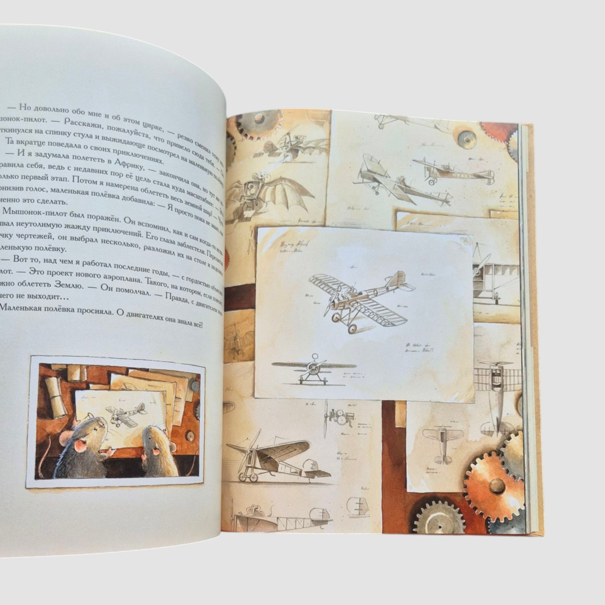 Эрхарт. Невероятный полёт полёвки вокруг света