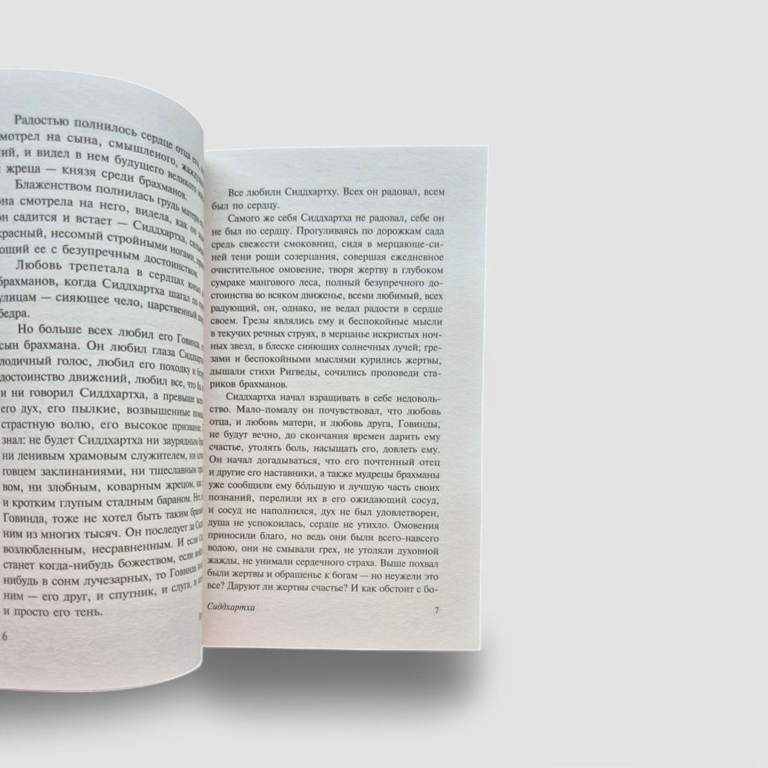 Siddhartha. Journey to the Land of the East