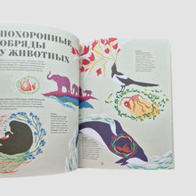 Загрузить изображение в средство просмотра галереи, Чудесная книга смерти

