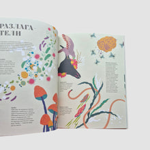 Загрузить изображение в средство просмотра галереи, Чудесная книга смерти
