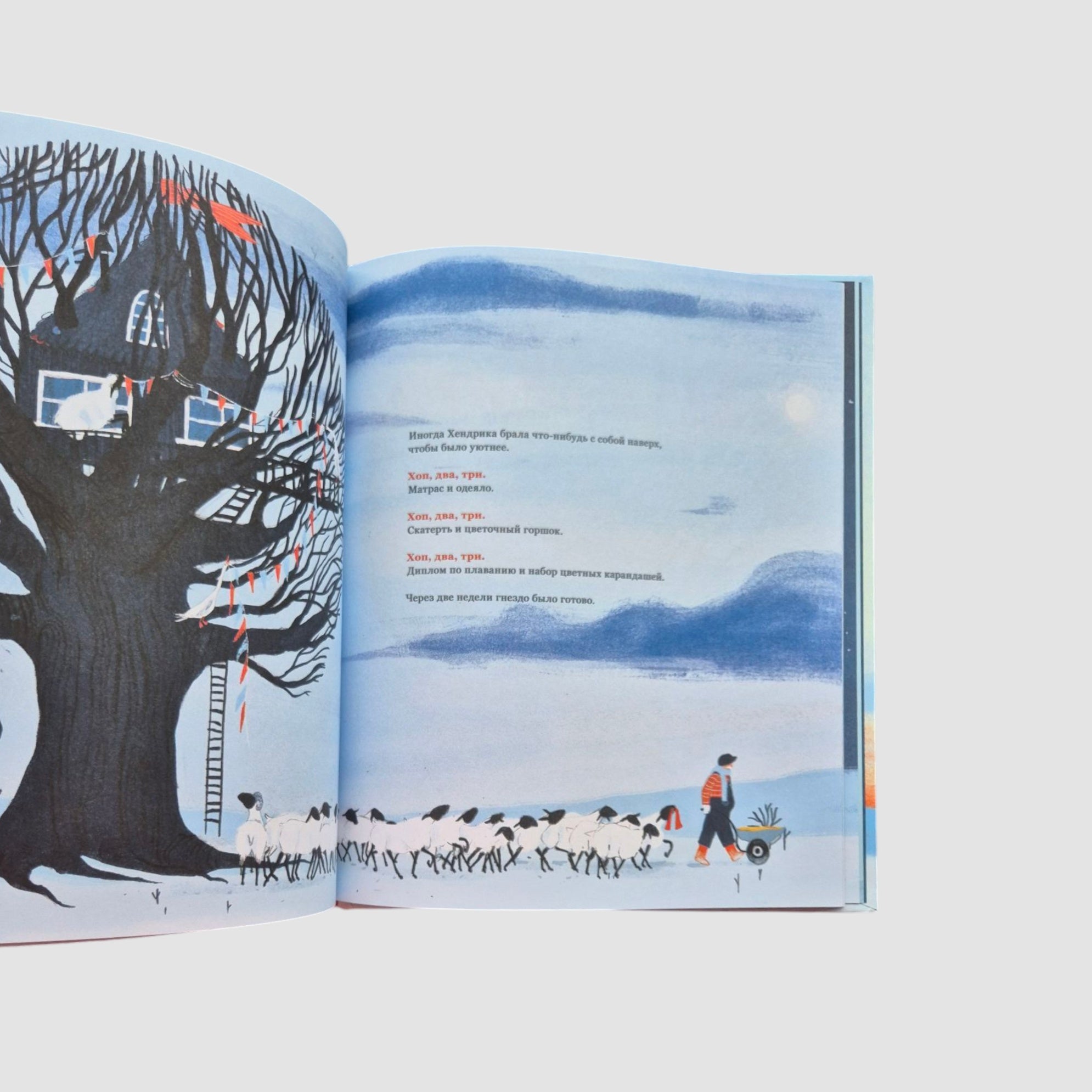 Hendrick, the sheep who climbed a tree