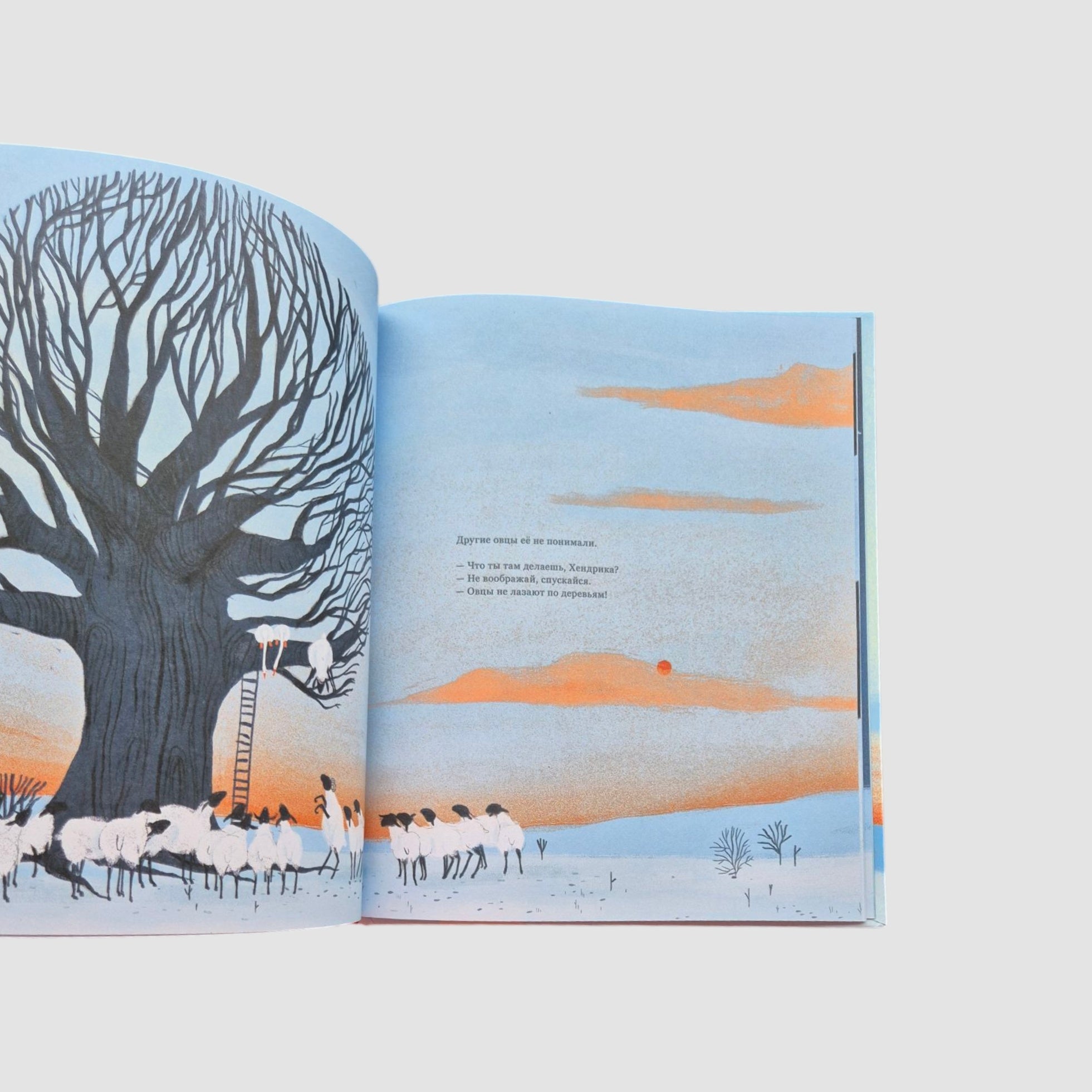 Hendrick, the sheep who climbed a tree