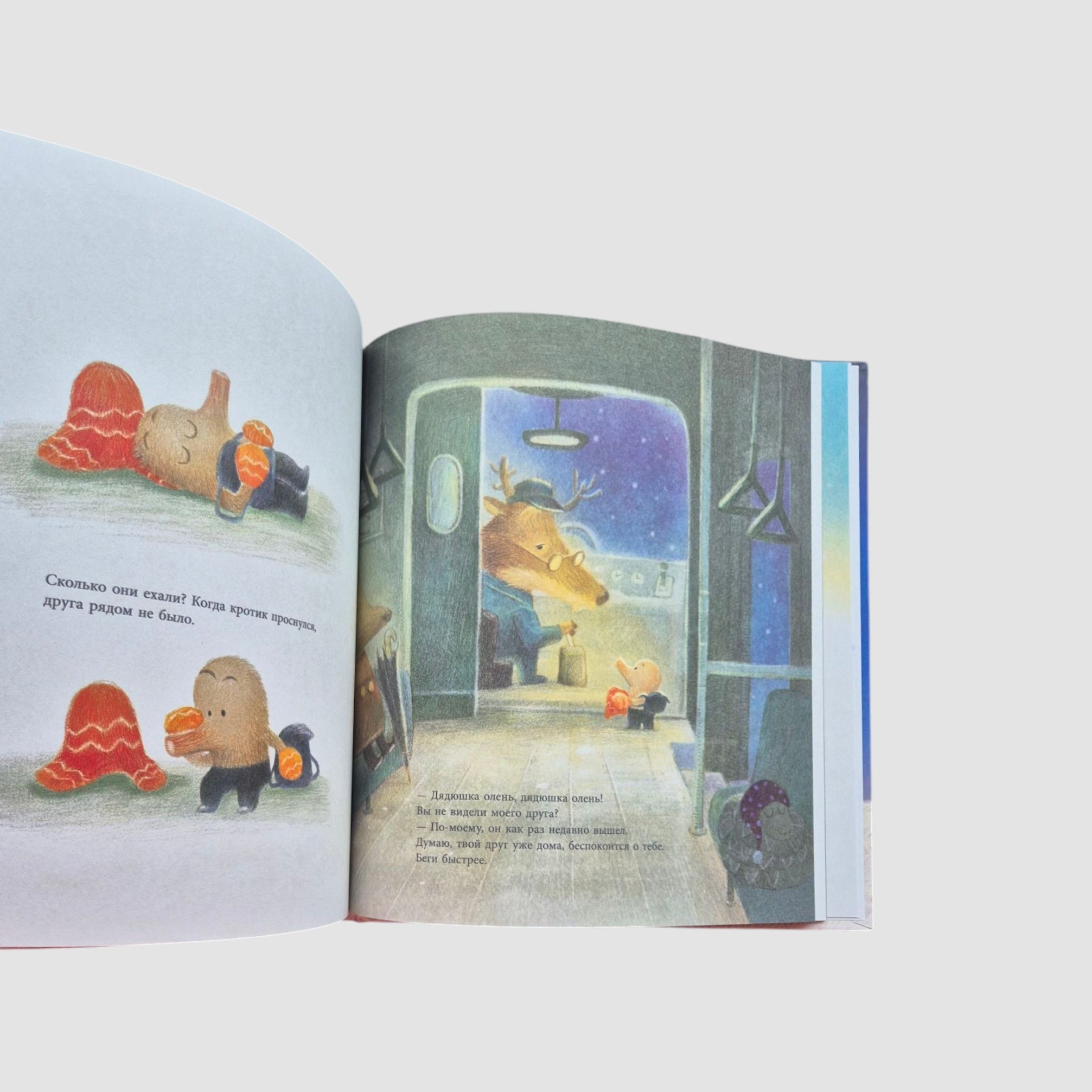 Заветное желание кротика