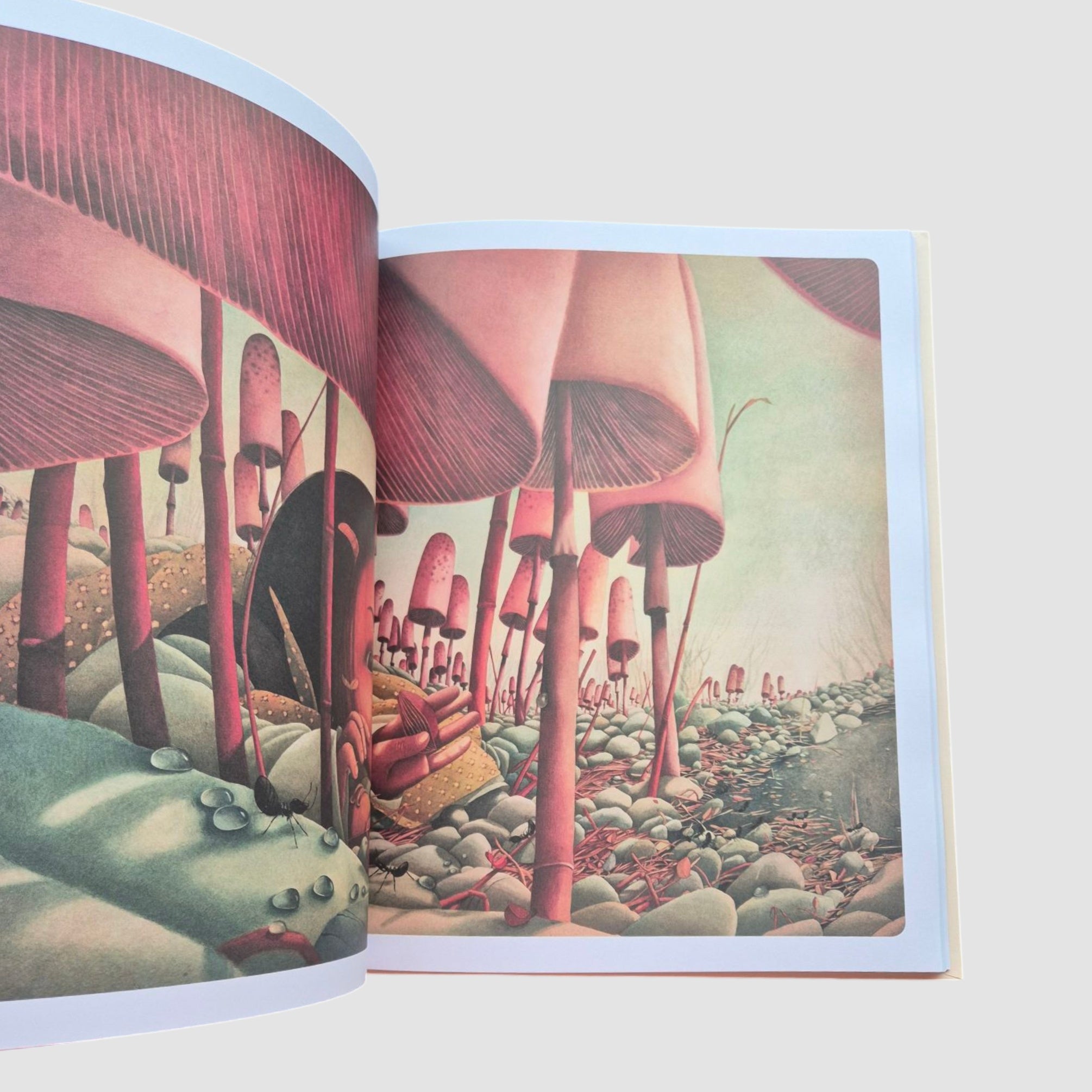 Алиса в Cтране чудес