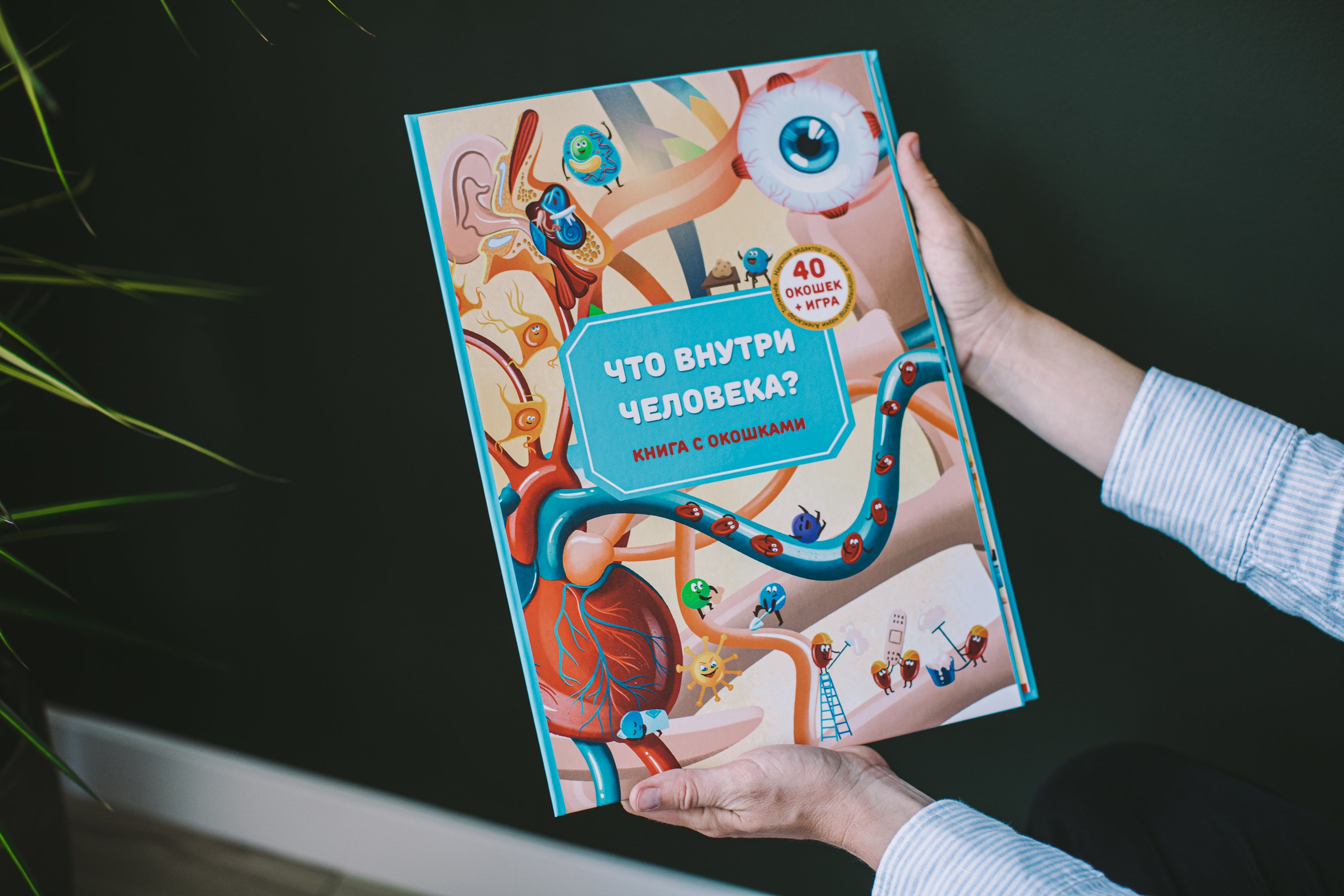 Что внутри человека? Книга с окошками