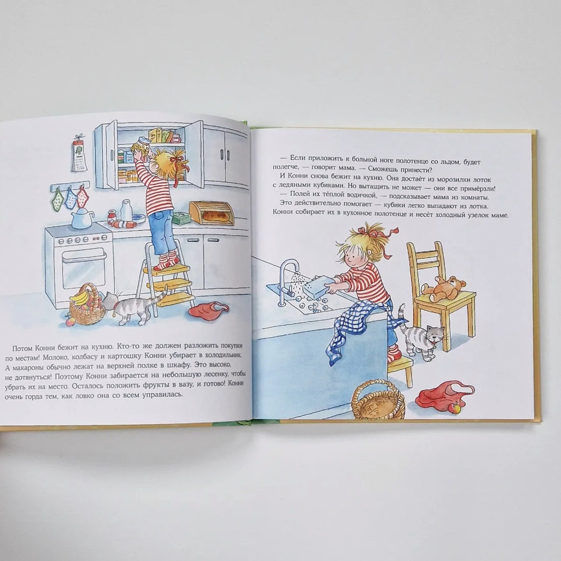 Большая книга приключений Конни. Семья