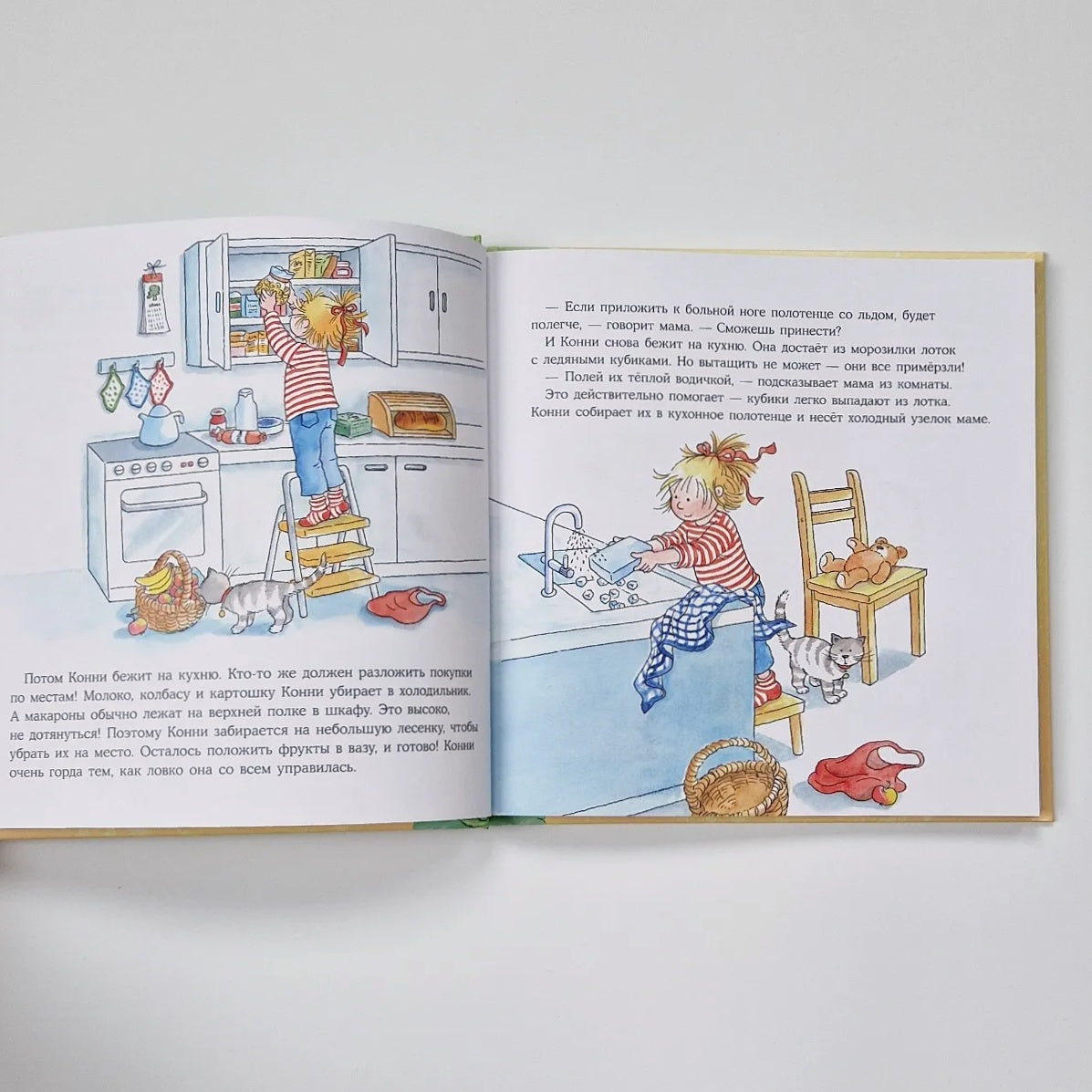Большая книга приключений Конни. Семья
