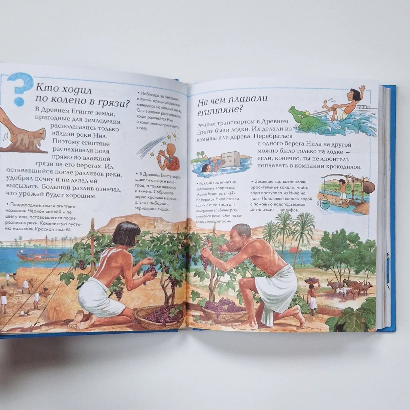 Отчего и почему?