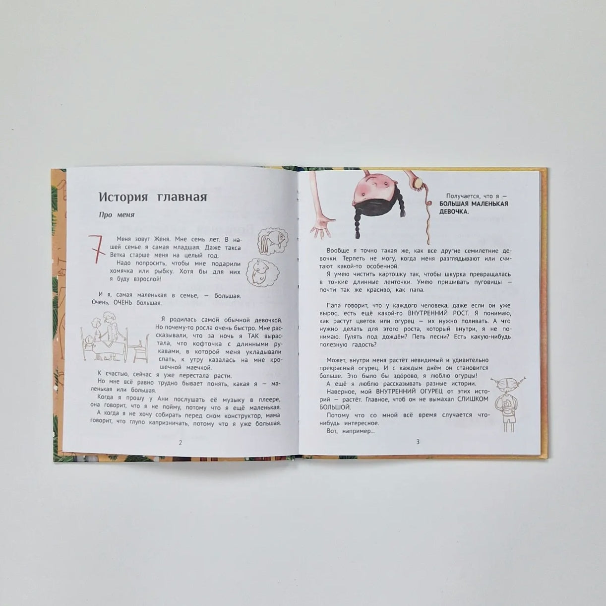 Big Little Girl Story 7: Sad Joyful Holiday