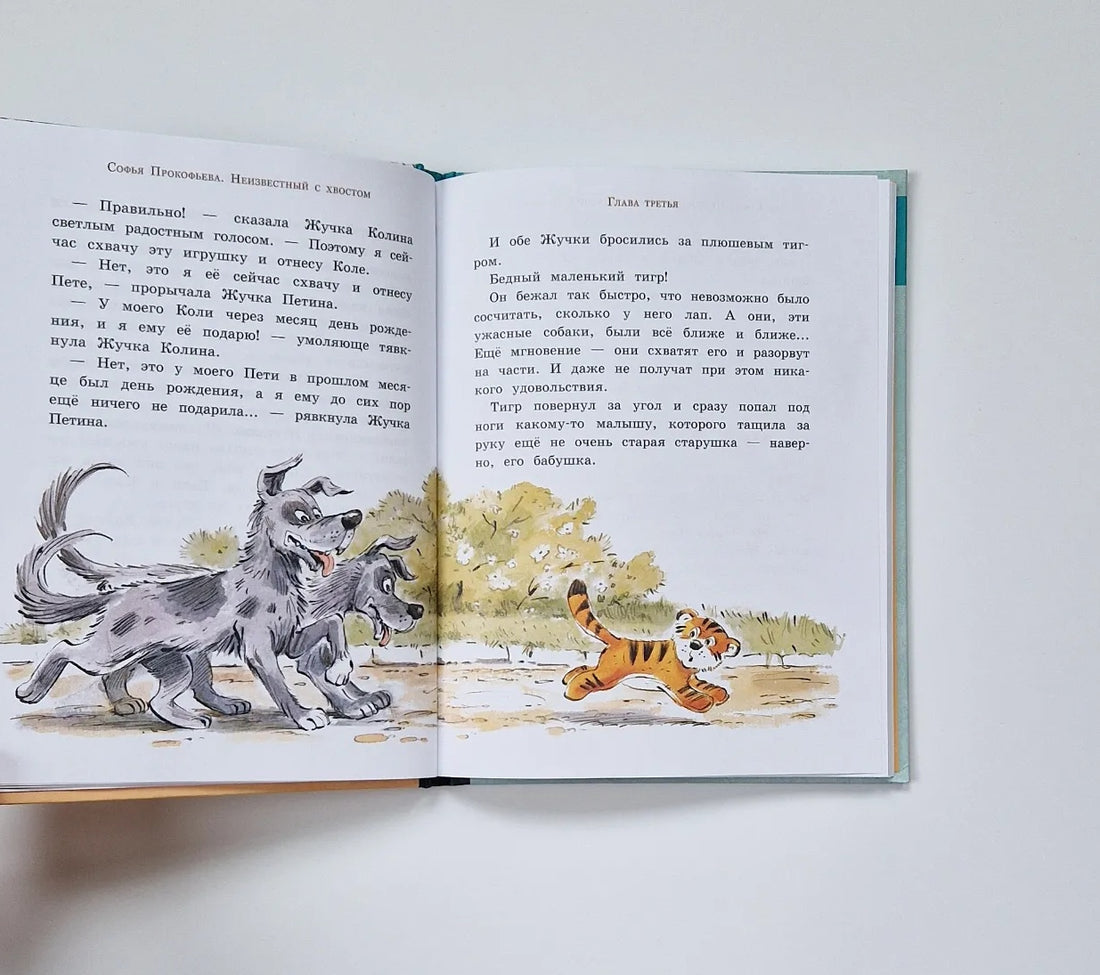 Неизвестный с хвостом