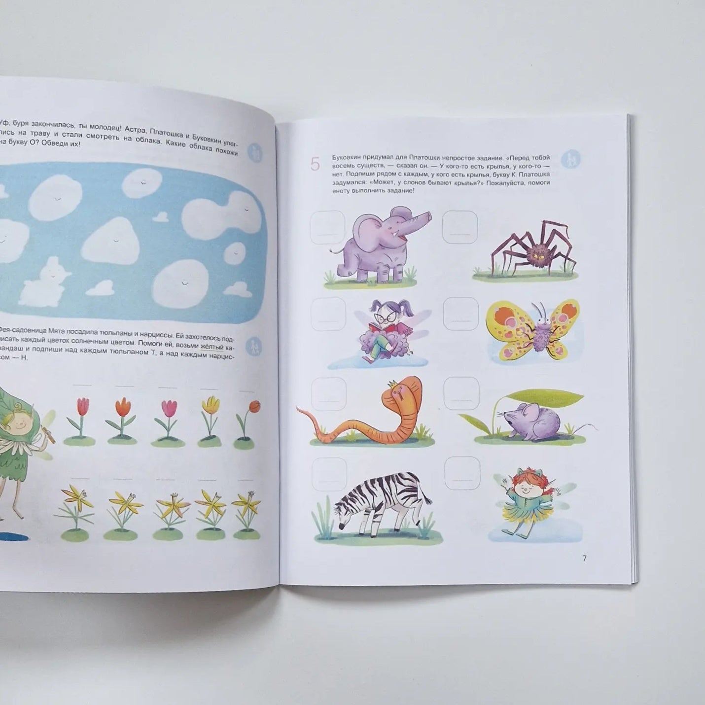 Learning to read with fairies. A workbook with developmental tasks