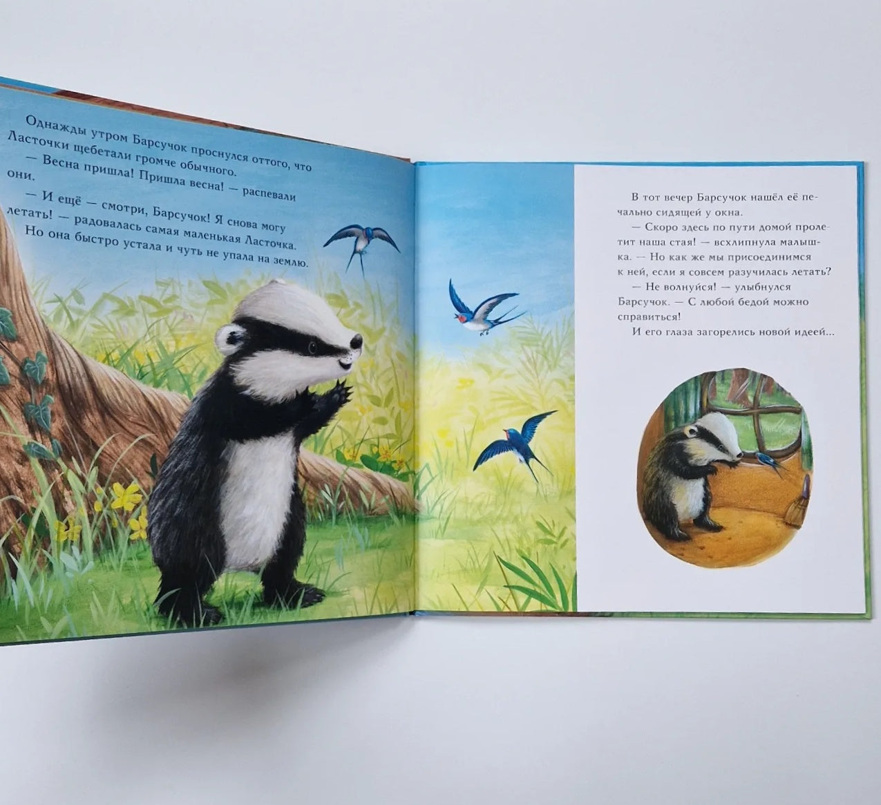 Барсучок и большая птица