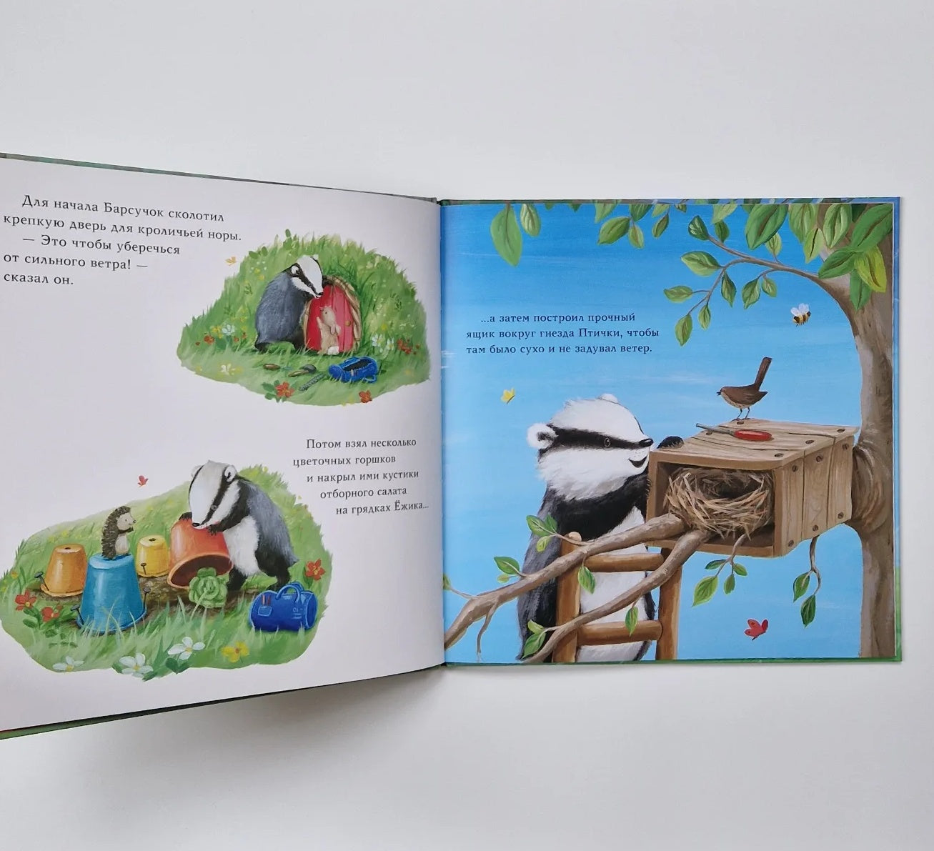 Барсучок и большая буря