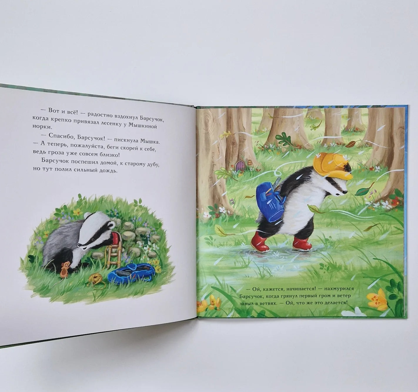 Барсучок и большая буря