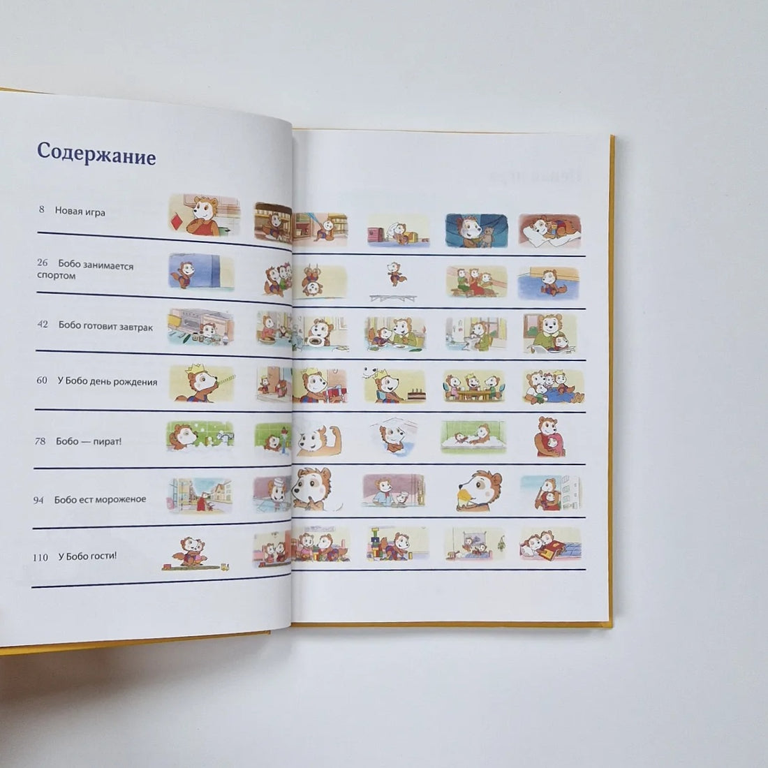 С днем рождения, Бобо!