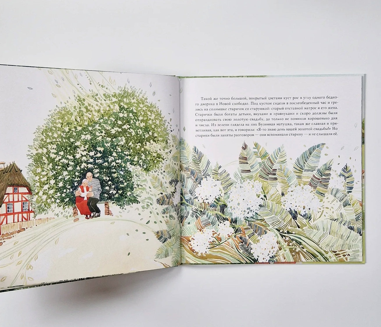 Бузинная матушка