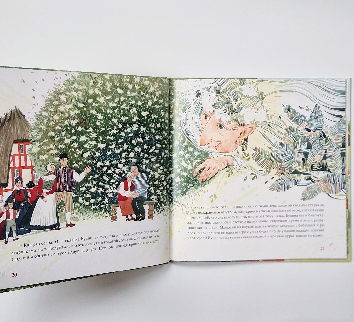 Бузинная матушка