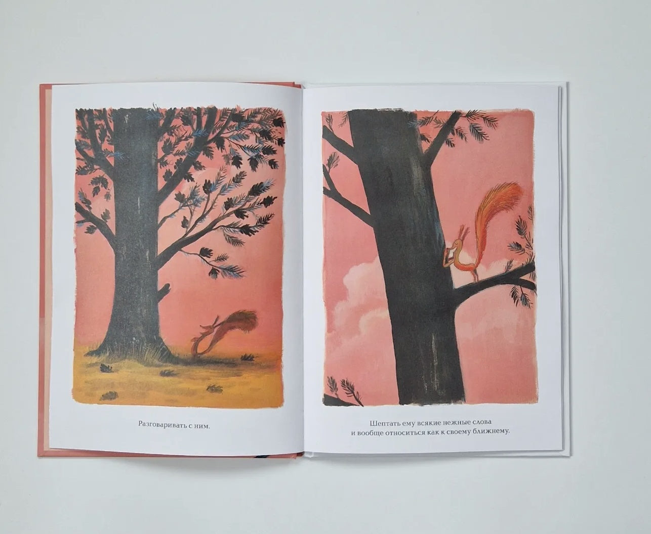 This is definitely the last one