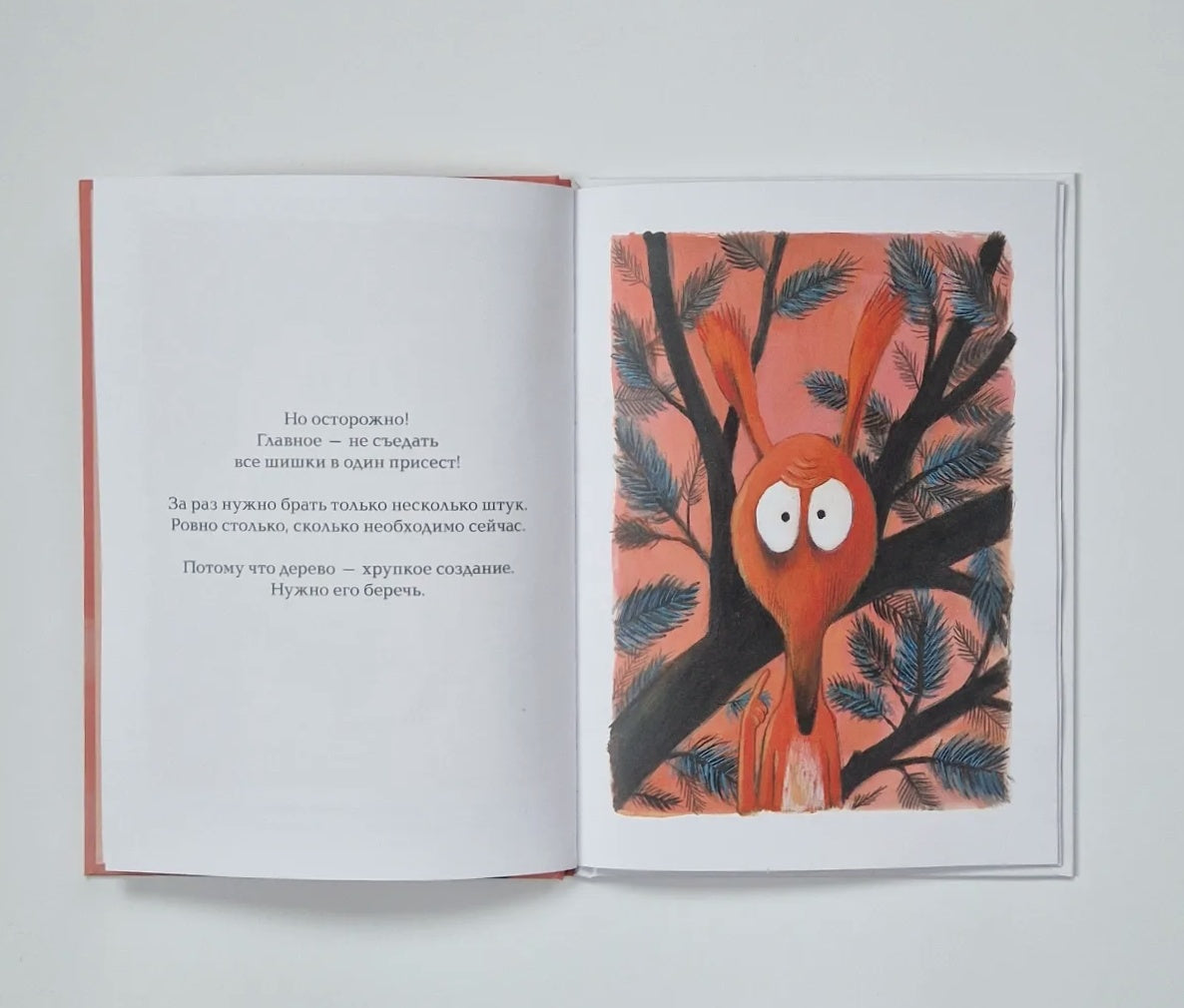 This is definitely the last one