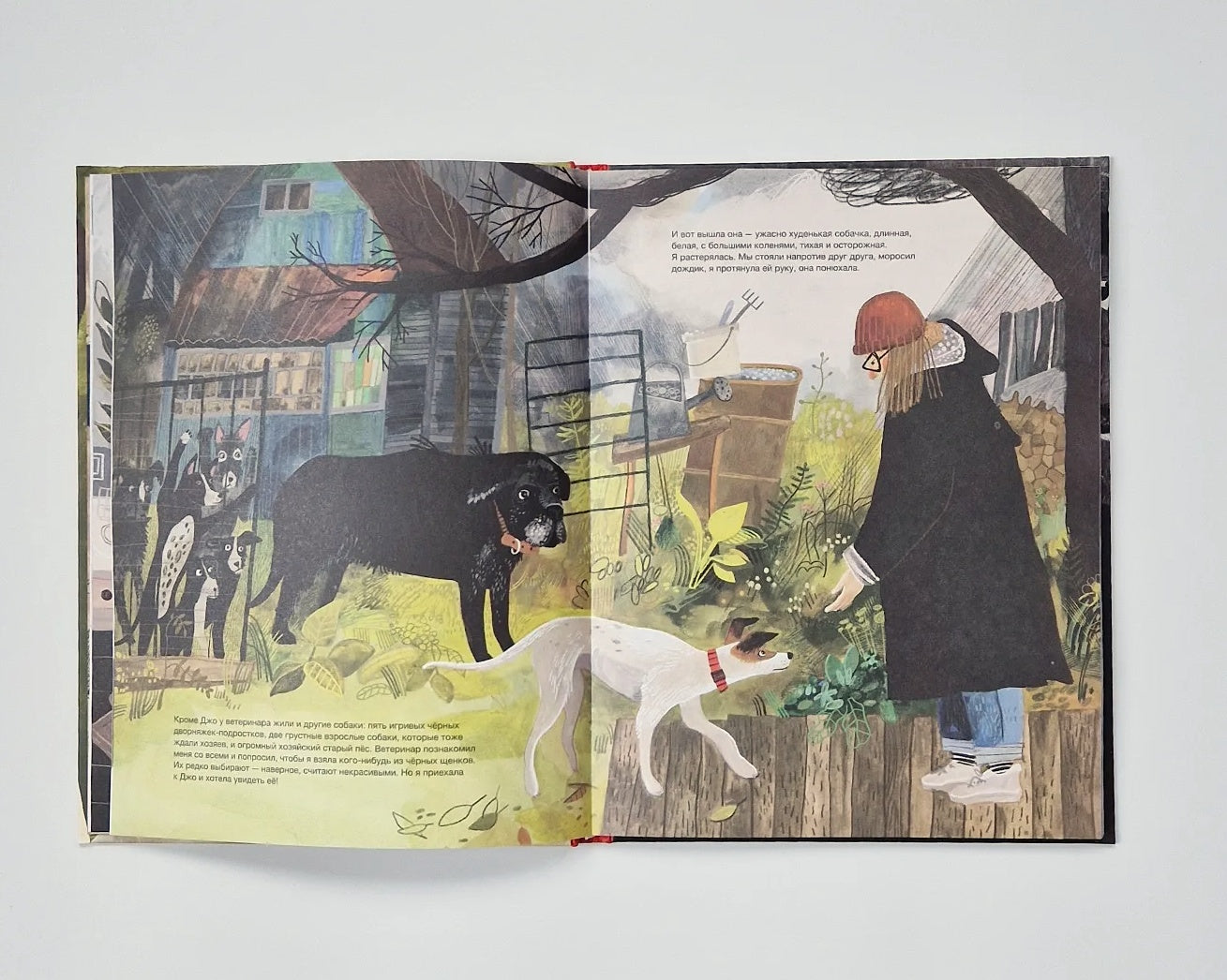 Твоя собака