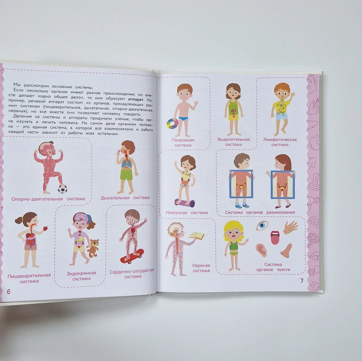 Анатомия для детей