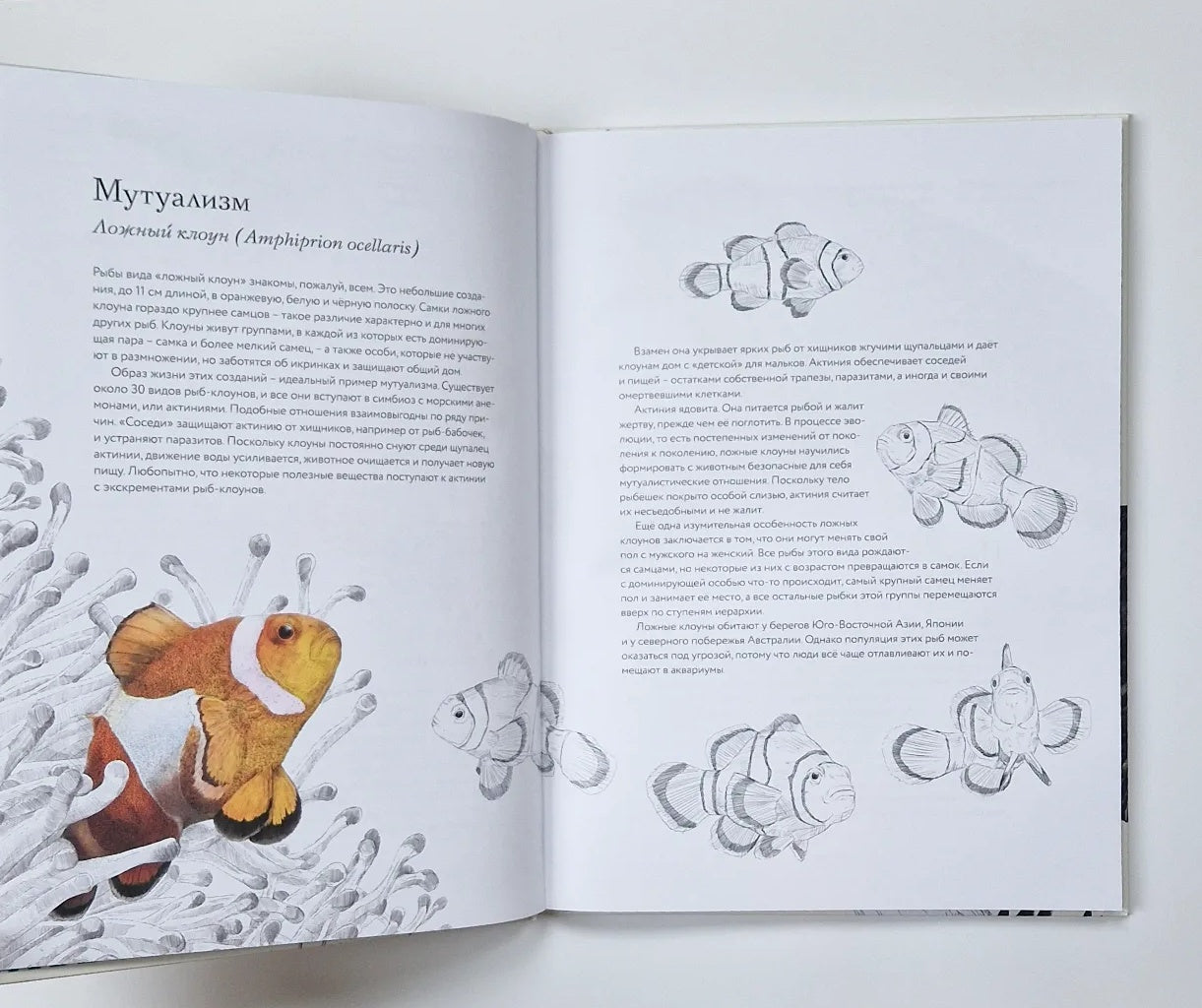 Тайны дикой природы