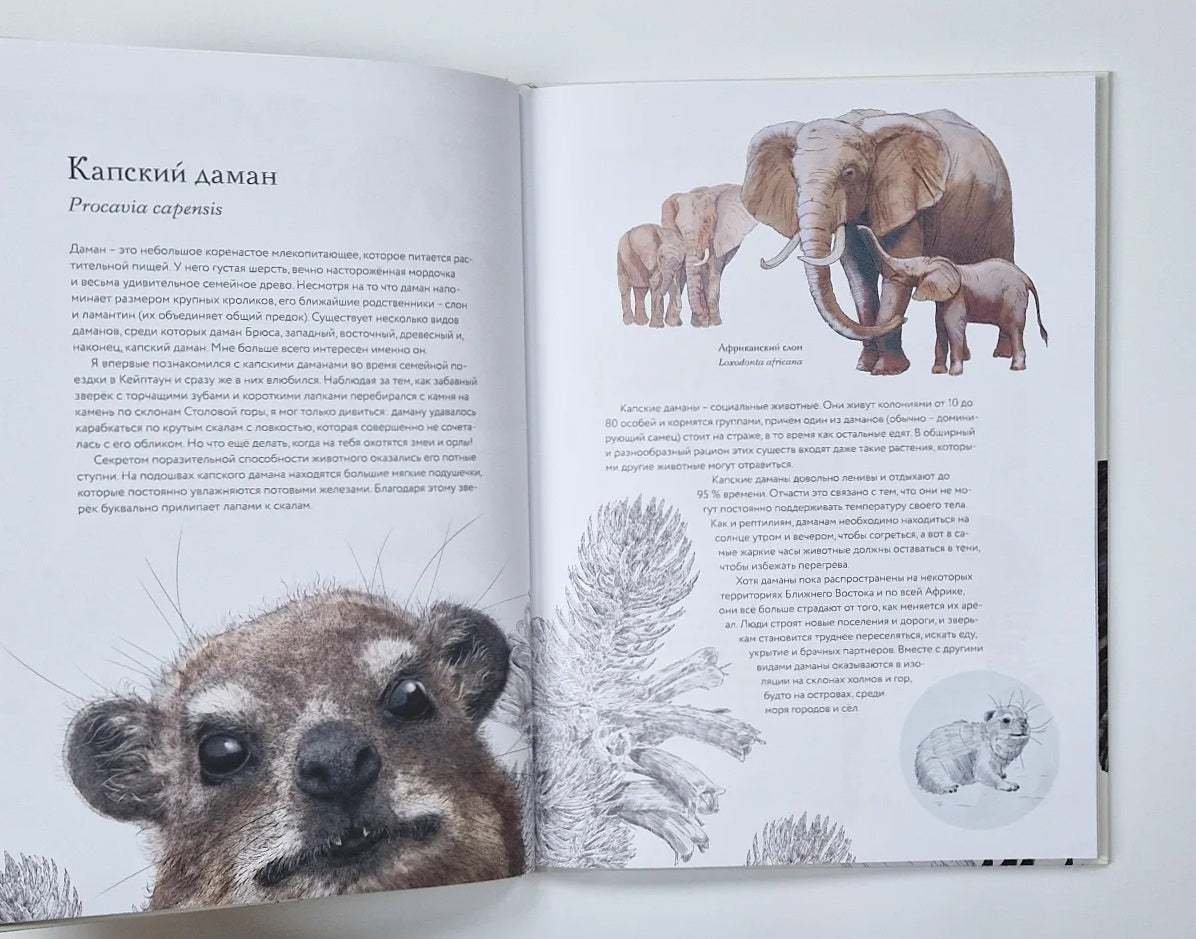 Тайны дикой природы